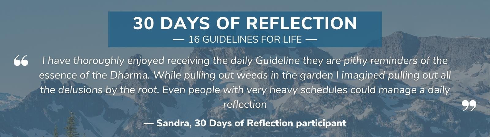 Testimonial - 30 days of Reflection - Sandra.jpg