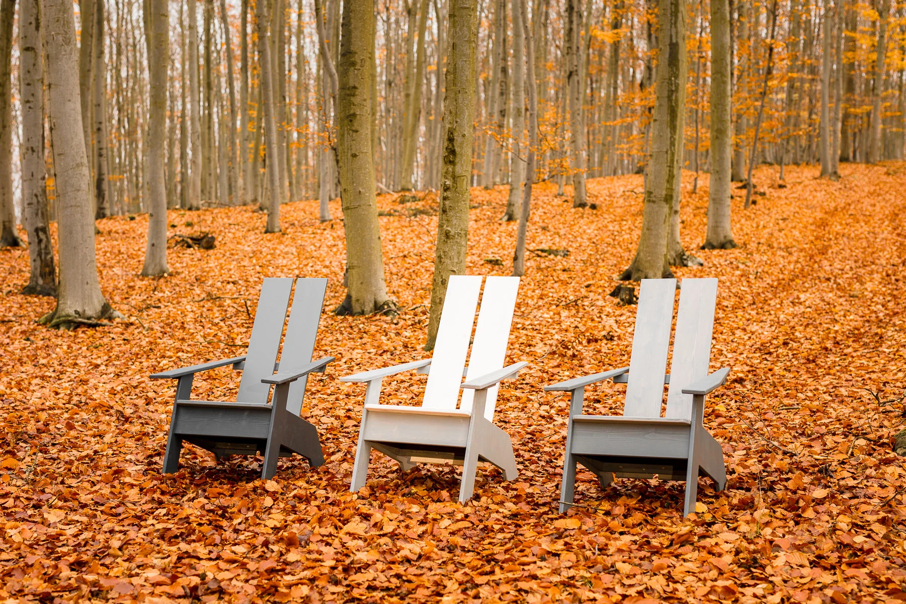 2018_11_11_Werkstuecke_Herbstshooting_0002_web.jpg