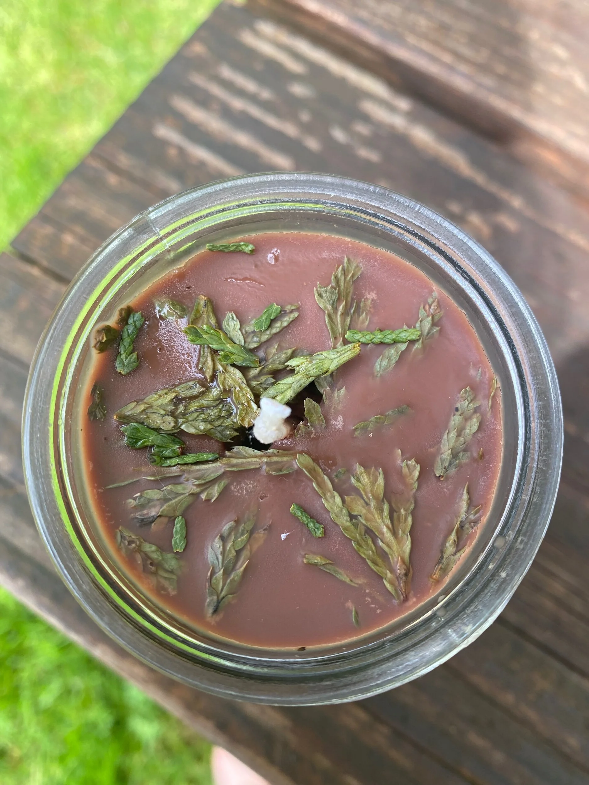 C42774ED-F96E-40D7-B287-424D0AF2E5B8