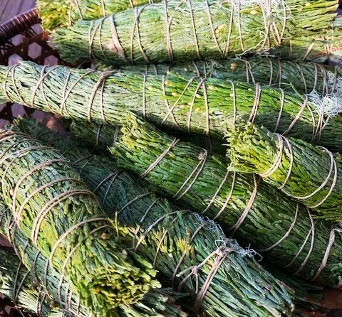 incensecedarbudles.jpg