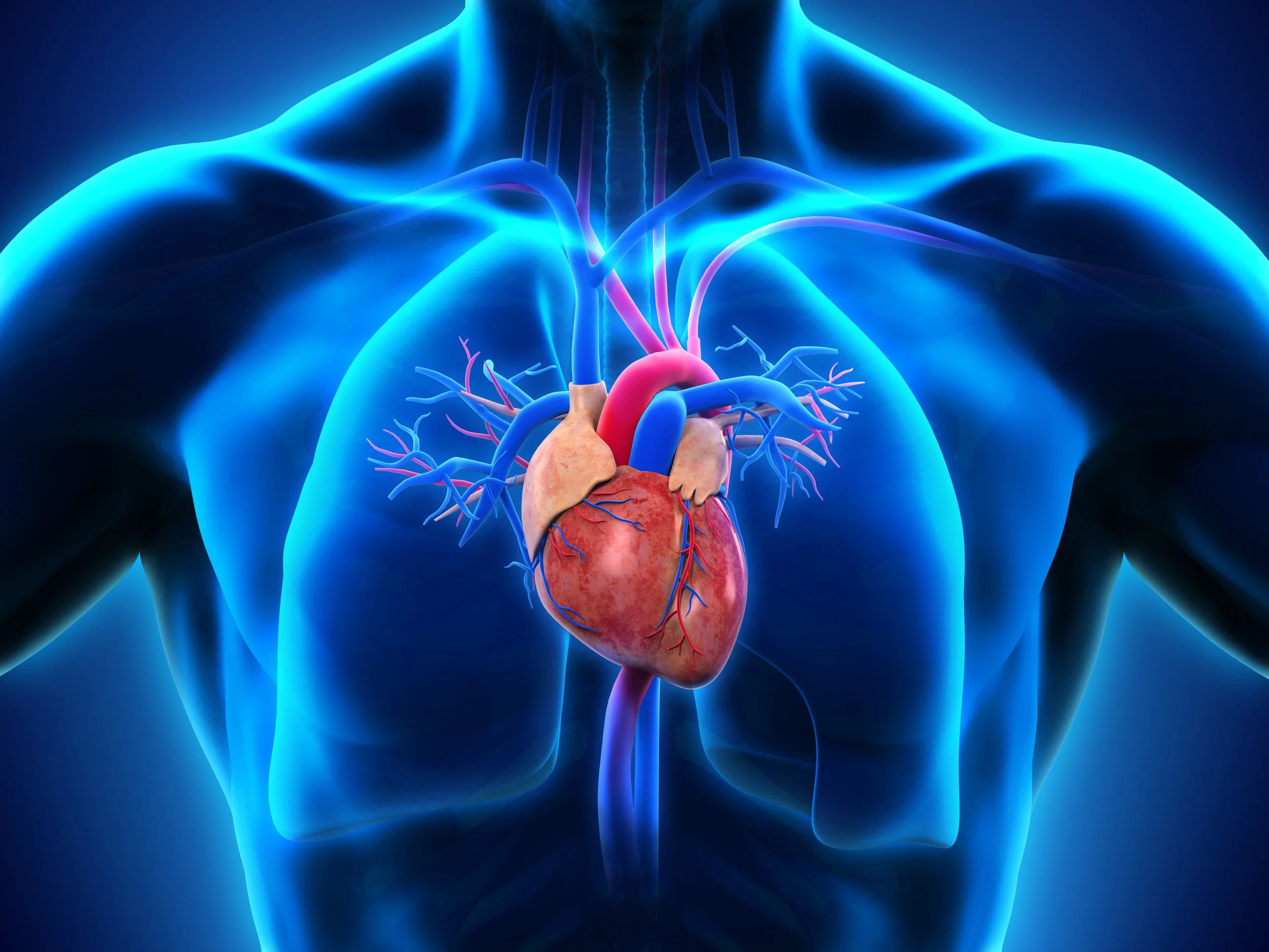 Heart_Lung Health.jpg