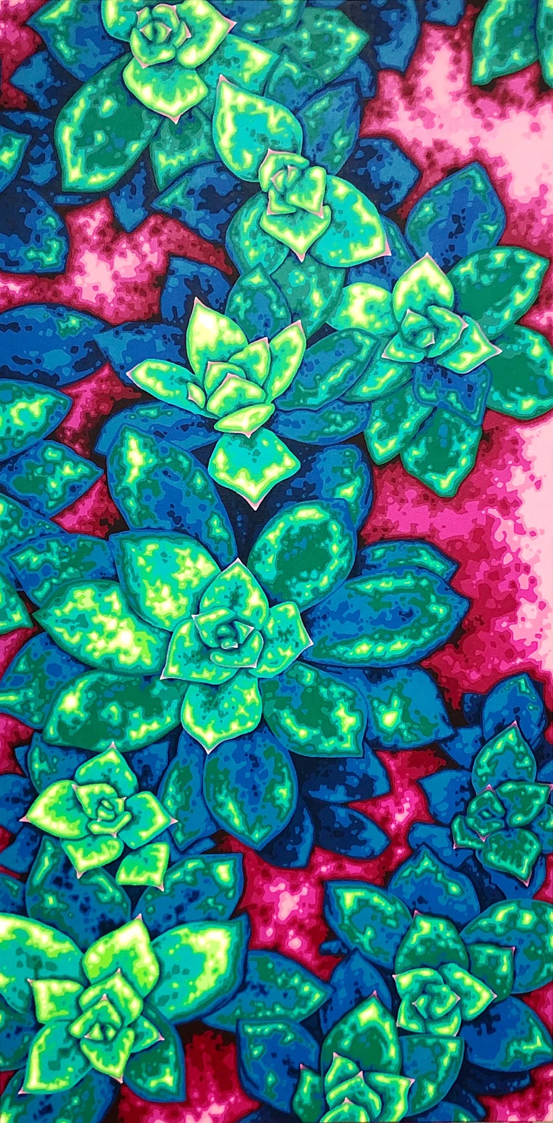 A Study in Succulents