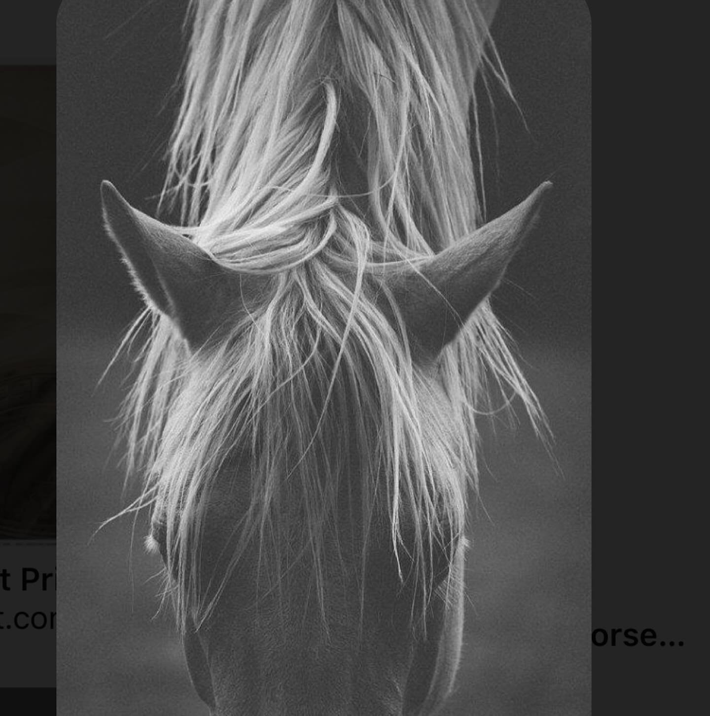 This week&rsquo;s real world inspo&hellip; same same. But different. #horselove #horsemane #texturedhair #blondes #naturalhair #nychair #nychairsalon #nychairstylist #farmlife #citylfe #weekendhair #modeloffduty #hairinspo #inspo #inspiration #haired