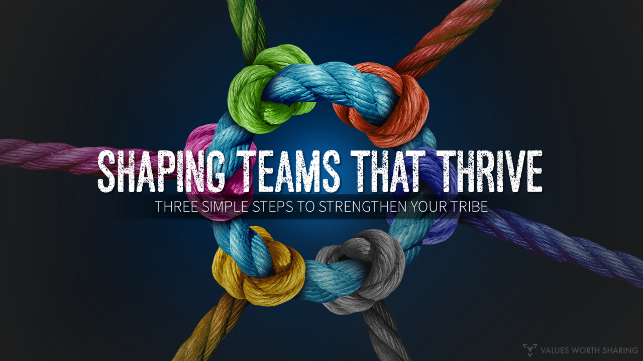 NEW Training Workshop:  Shaping Teams that Thrive