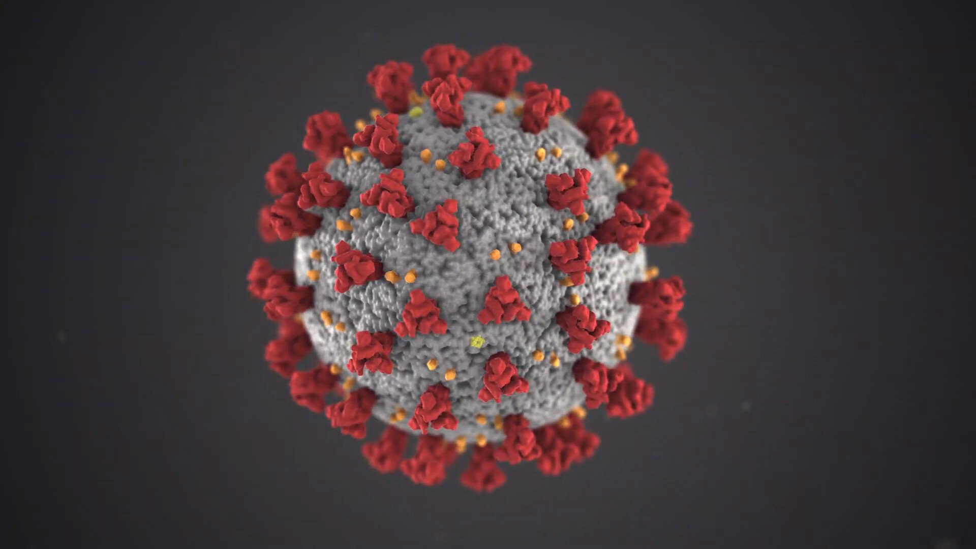 CDC COVID-19 3D Animation 032.jpg