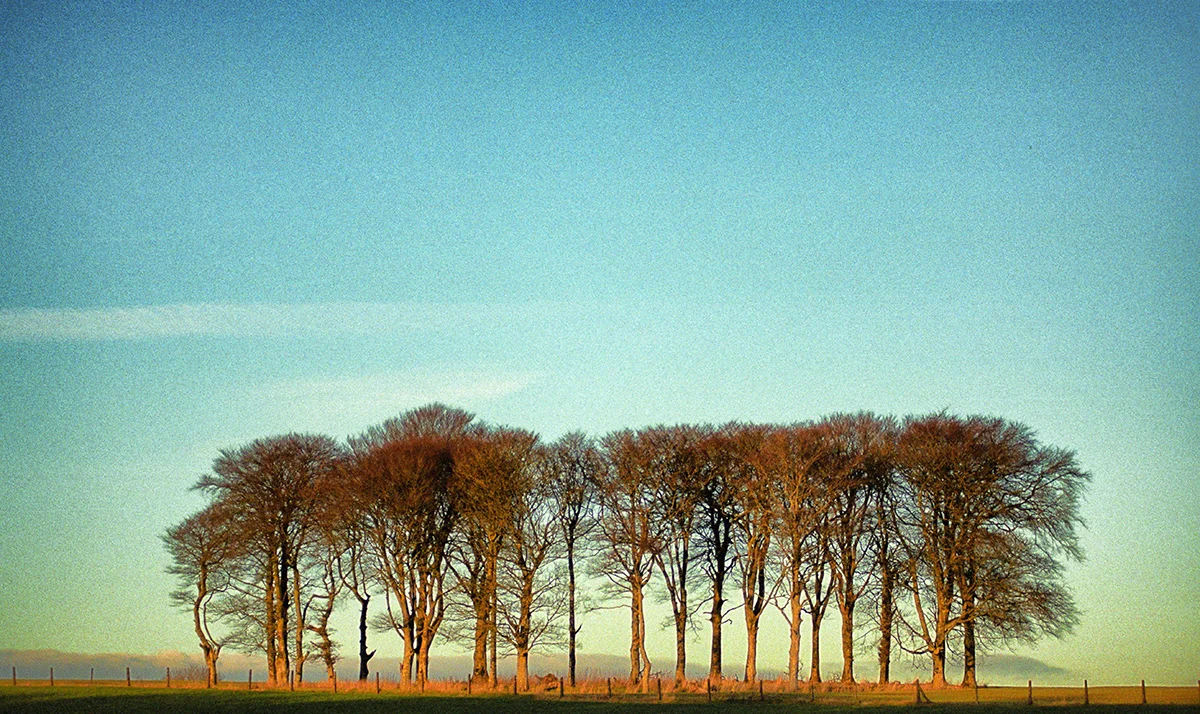 Landscape3.jpg