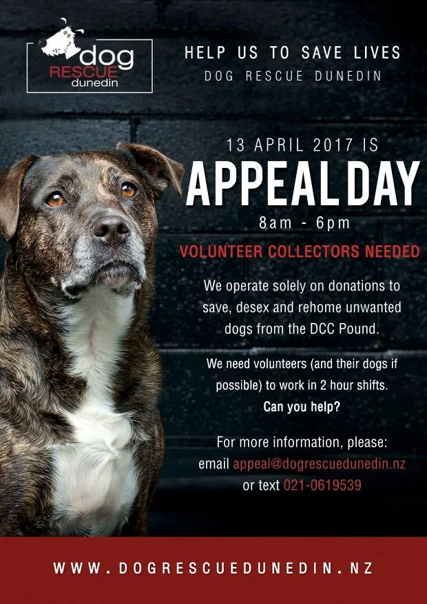 Dunedin Dog rescue support