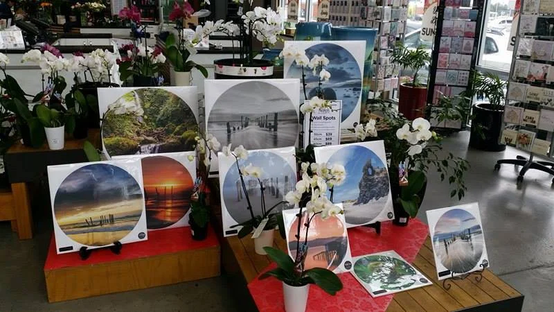 Wall dot display at Nichols Garden centre in Dunedin