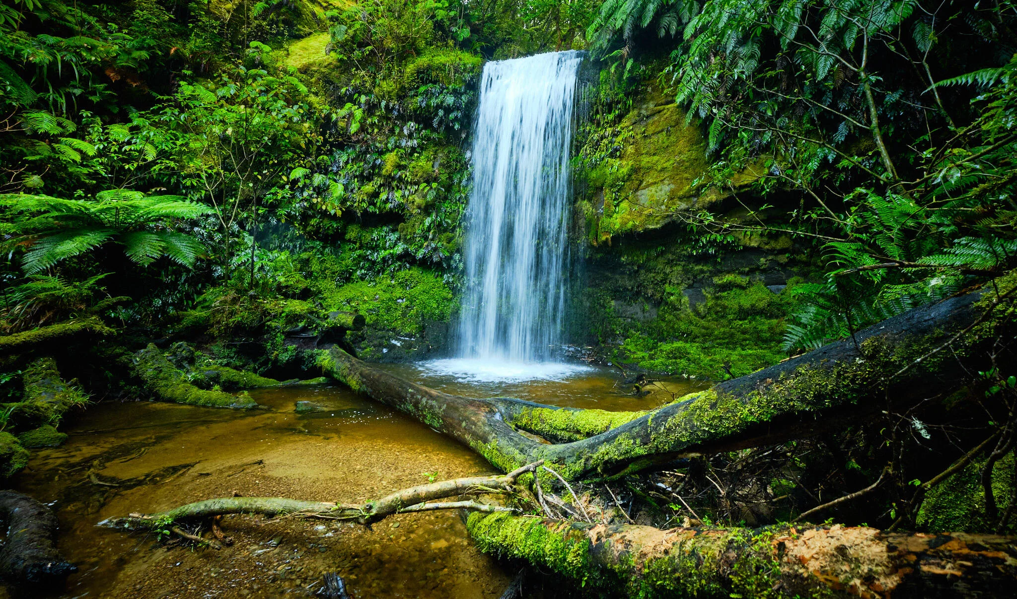 The best waterfall to visit in the Catlins
