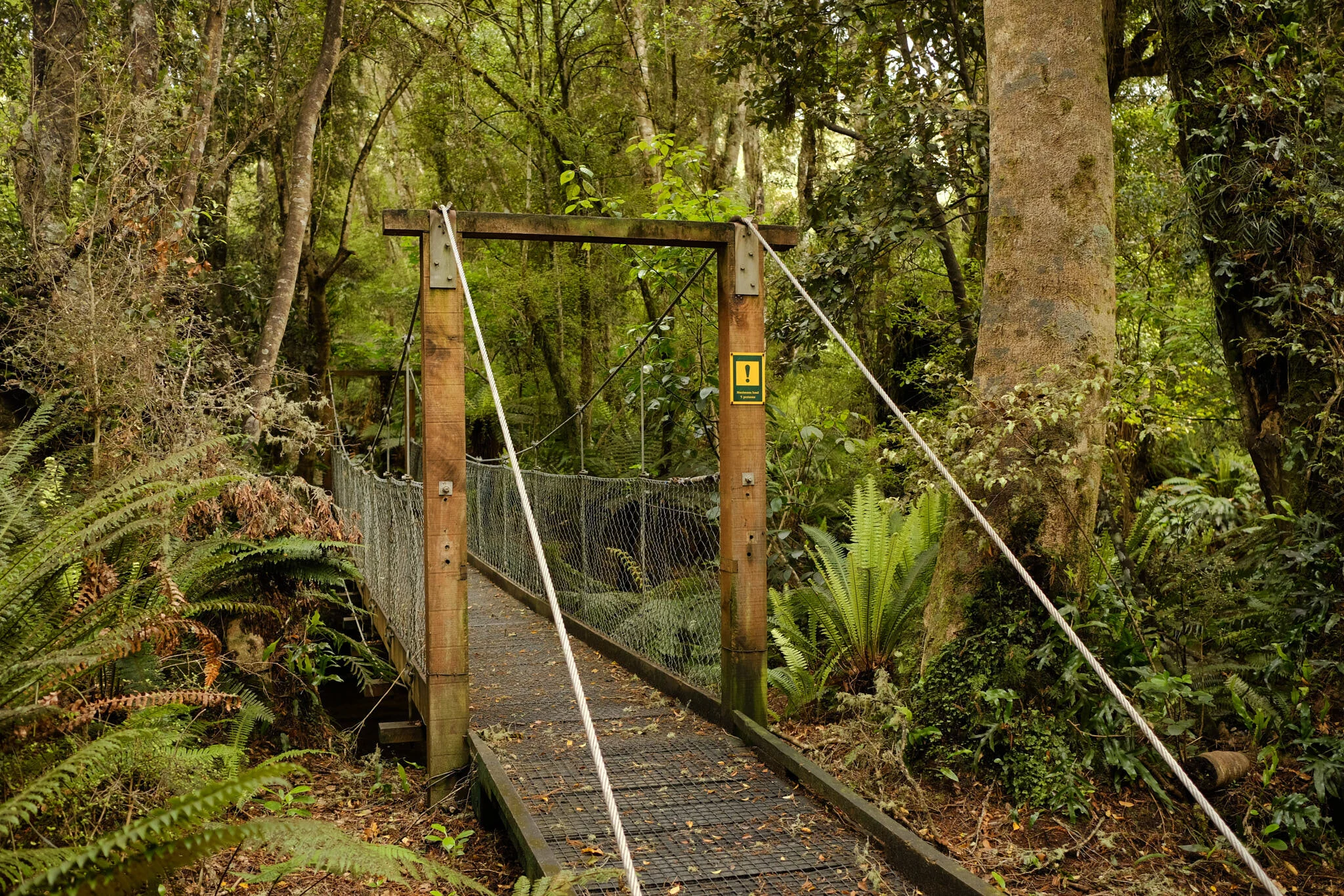 Waipohatu walking track and waterfalls