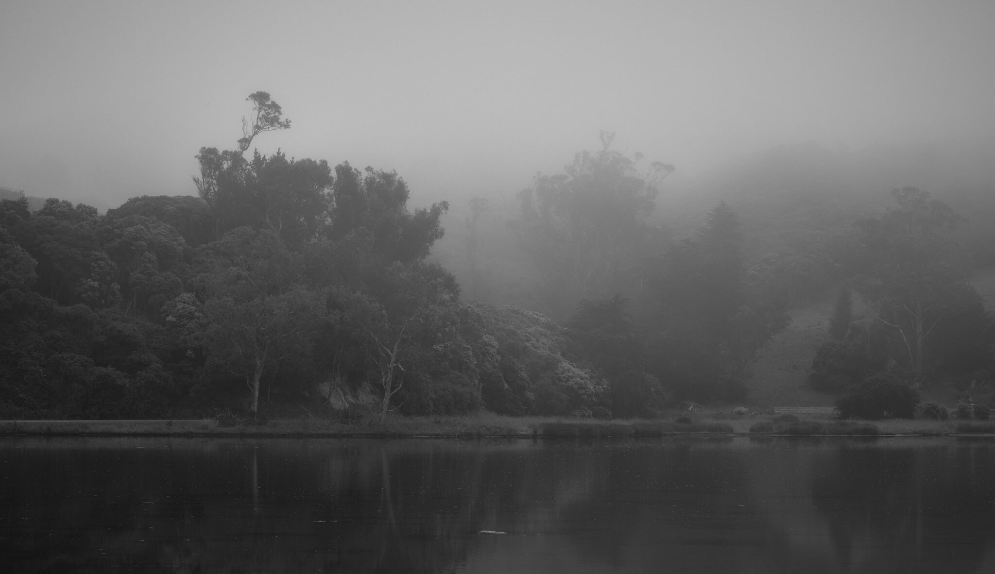 Fog on the Otago Peninsula