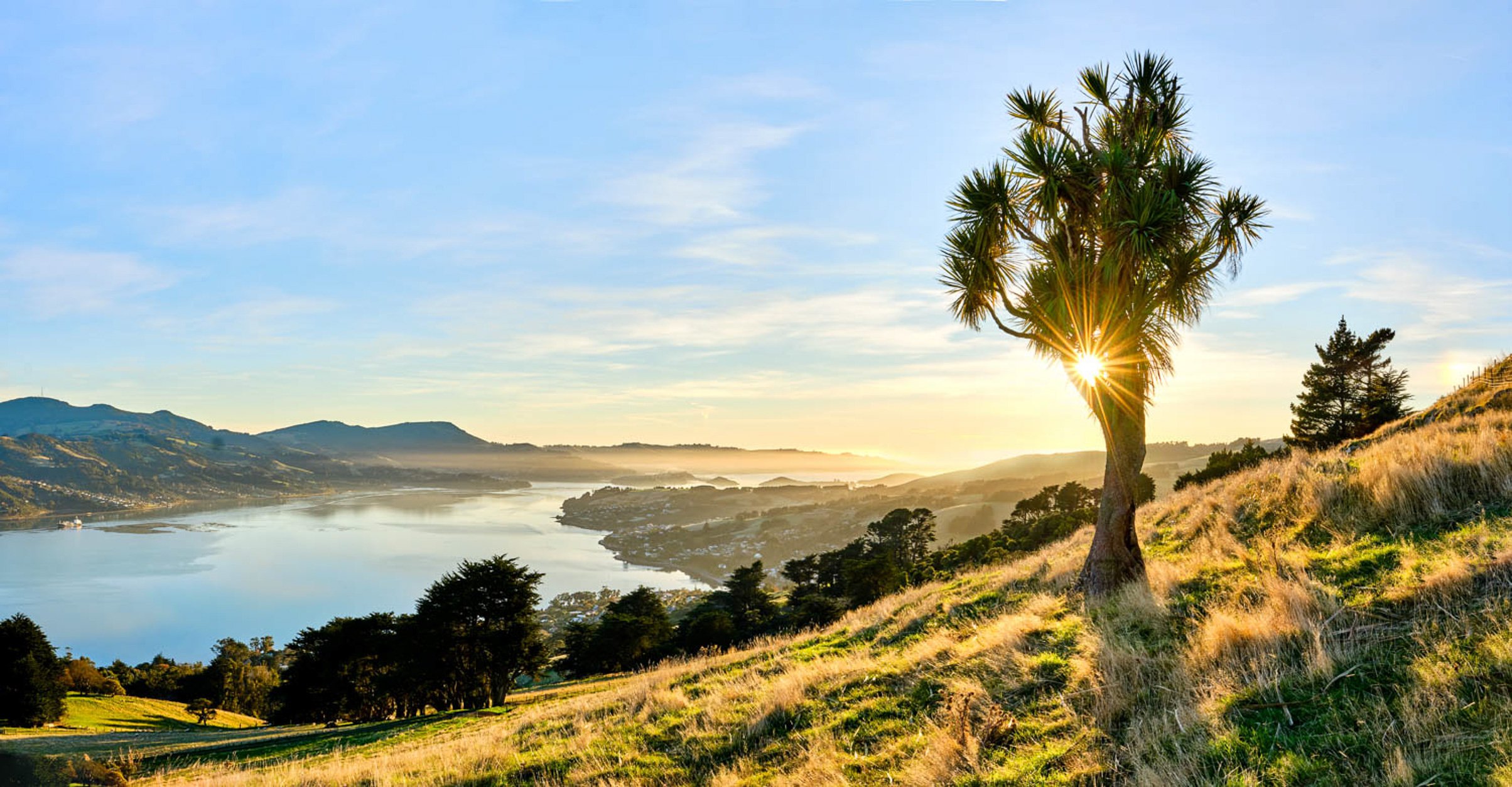 Claremont Farm view, Highcliff Road, Otago Peninsula, Dunedin