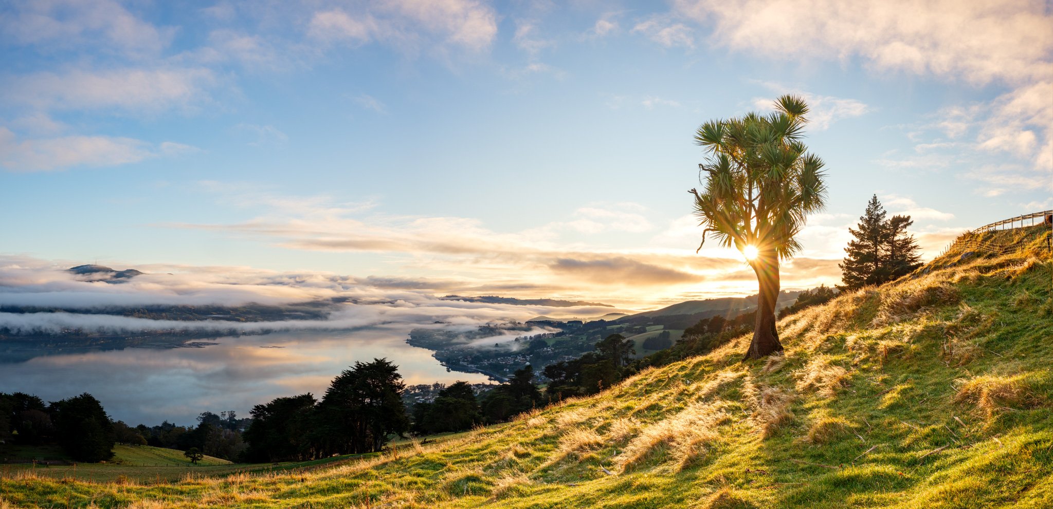 Otago Peninsula 2025