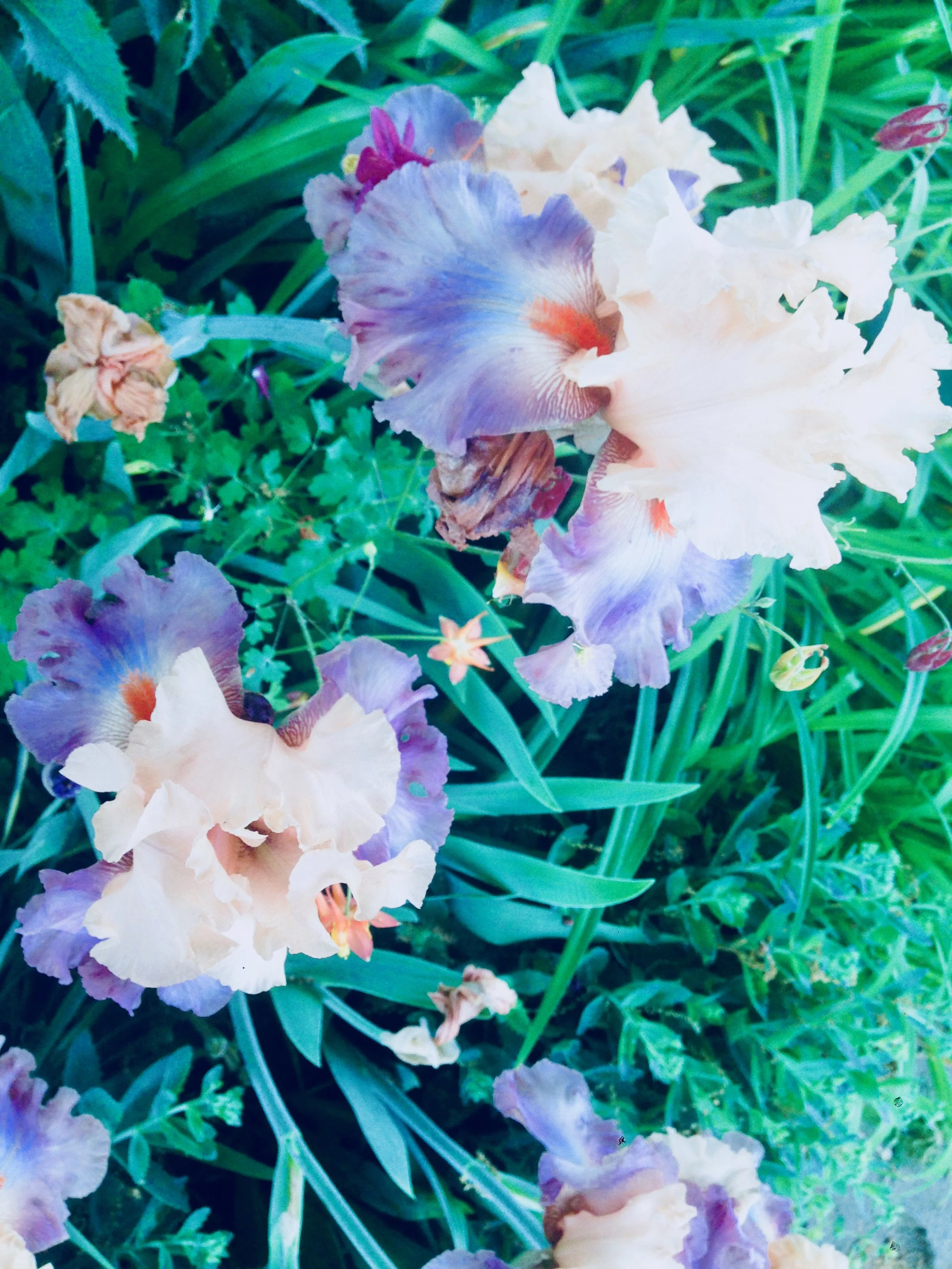 I Hope You're Not Waiting on Me