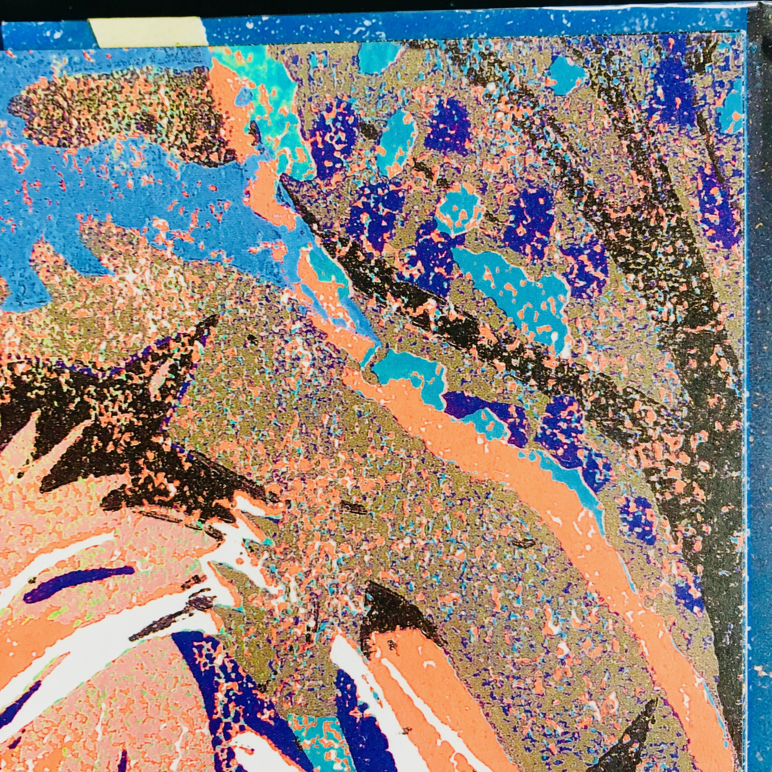 It's all you've longed for