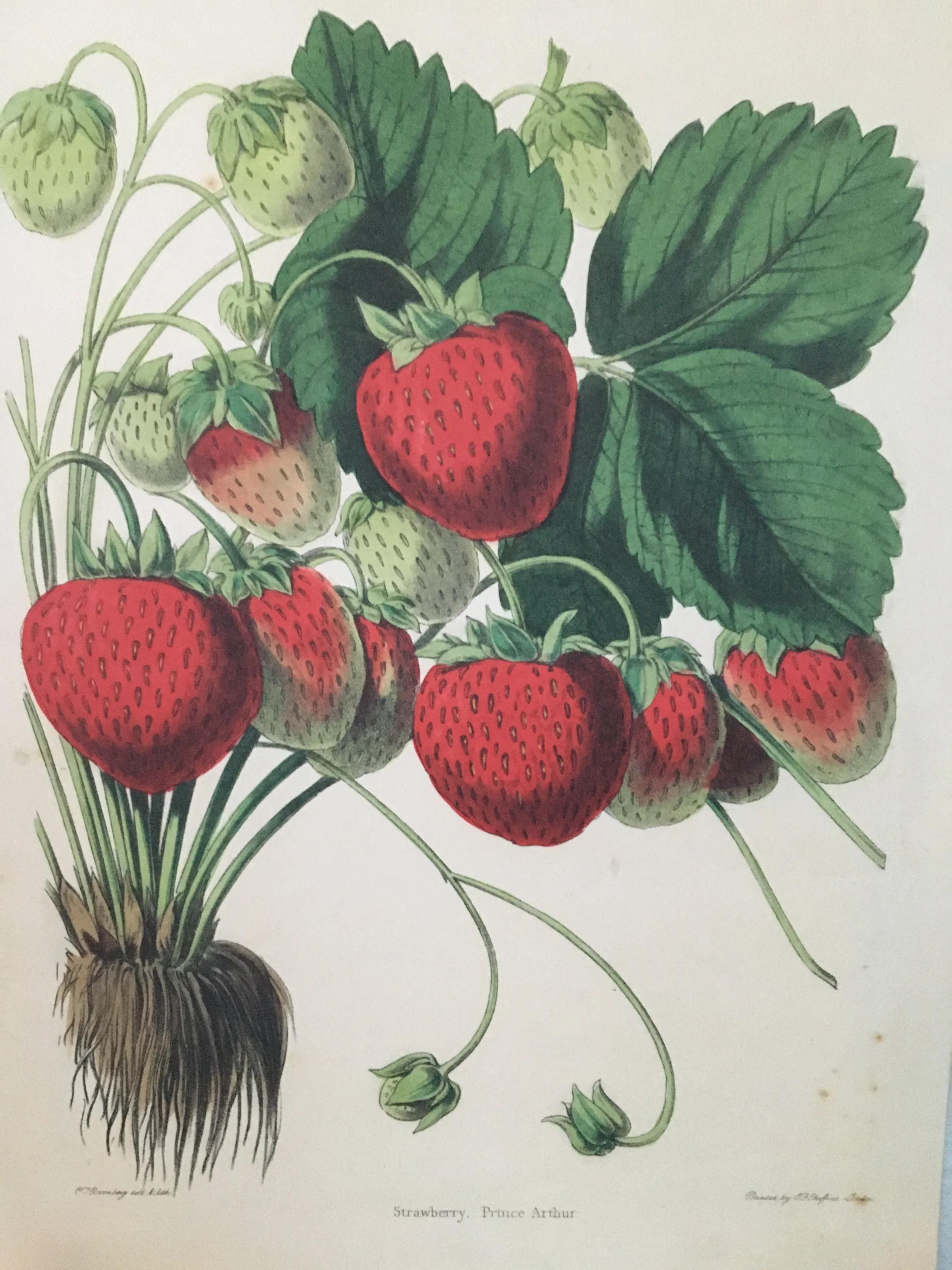 Reclaiming Music, part 3: the Right to Do It Wrong