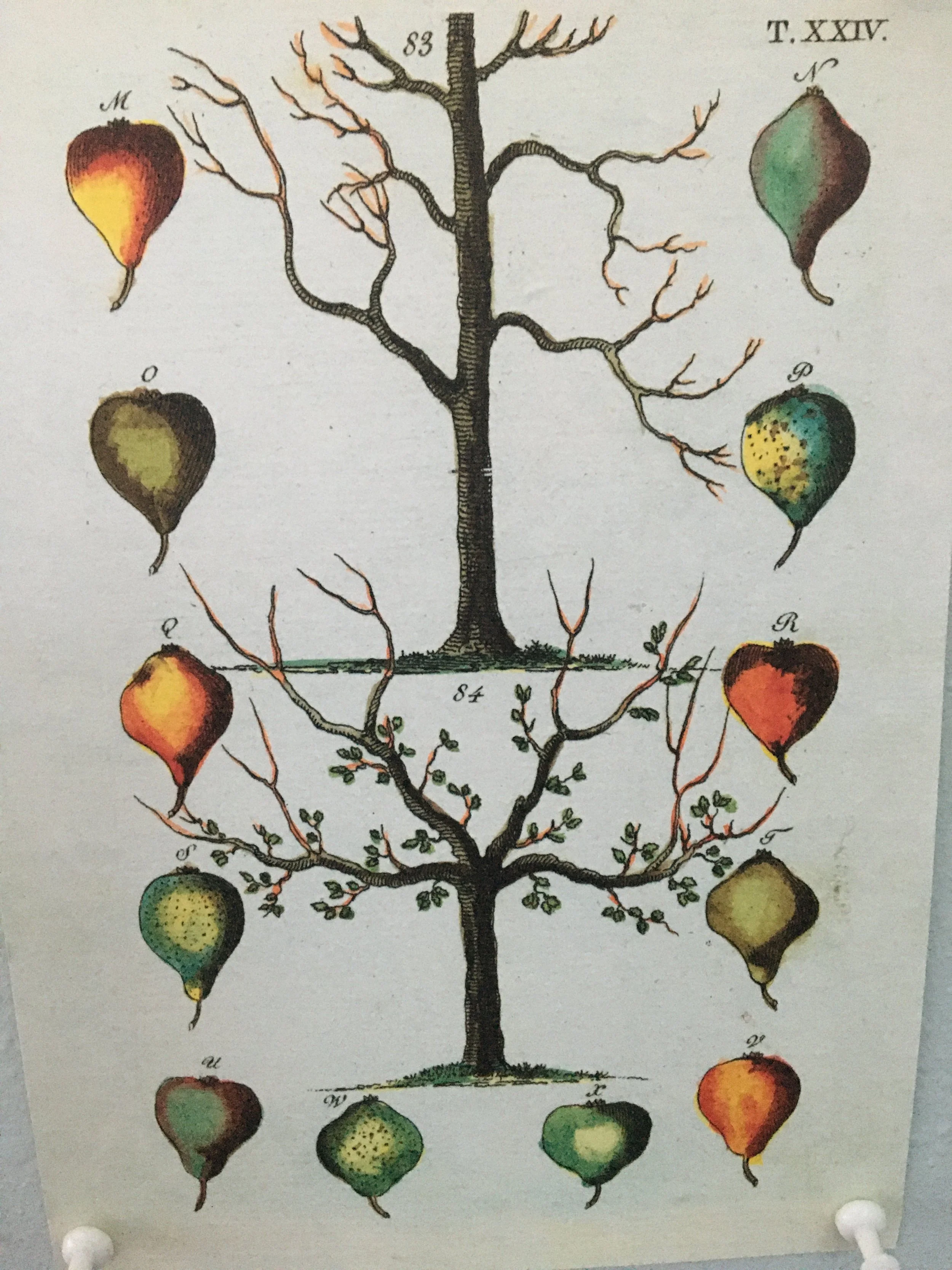 Developing Musicality, part 2: Tone