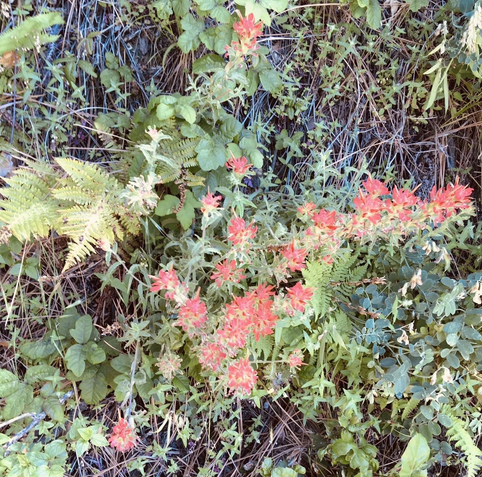 Hard Time with Your Love