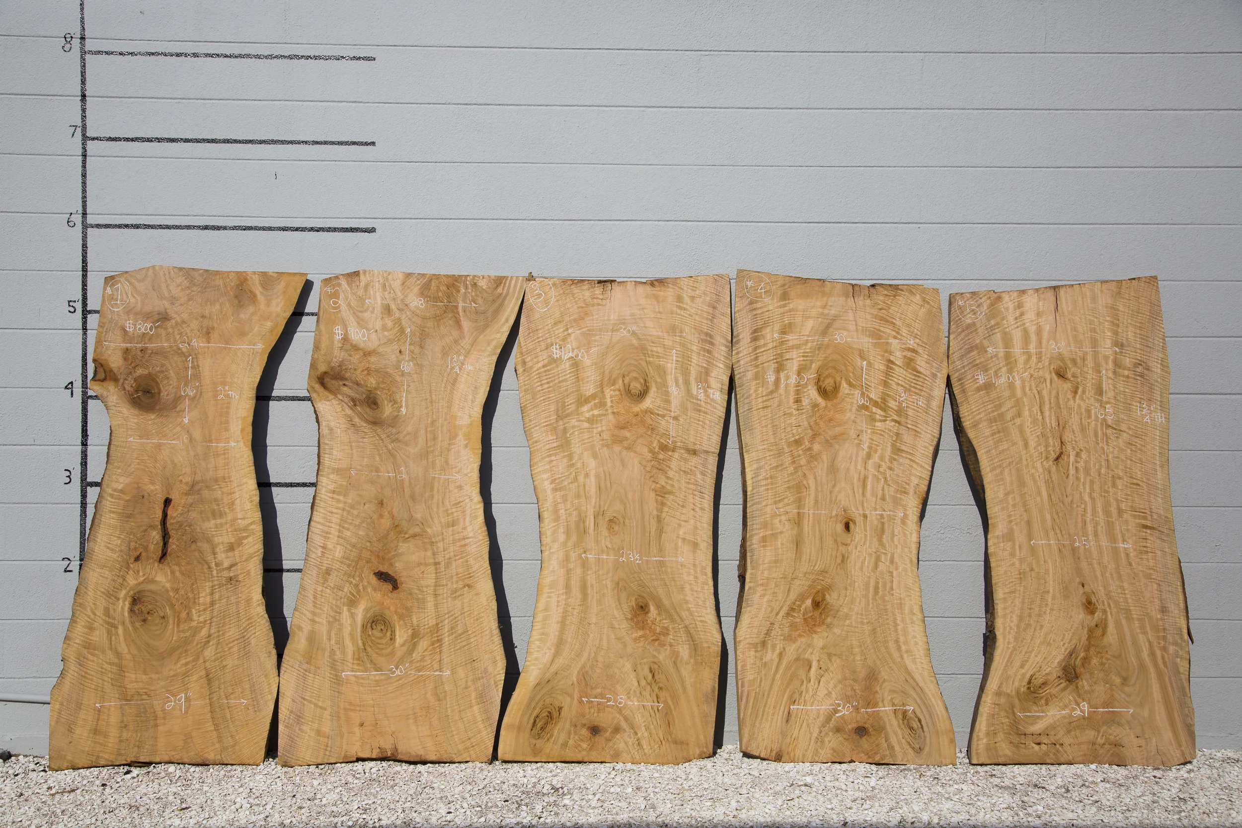 Rare Camphor Highly Figured Slabs