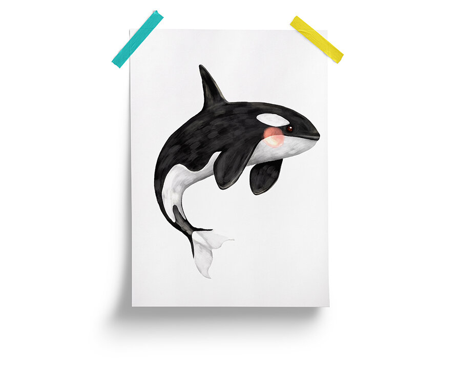 Orca.jpg