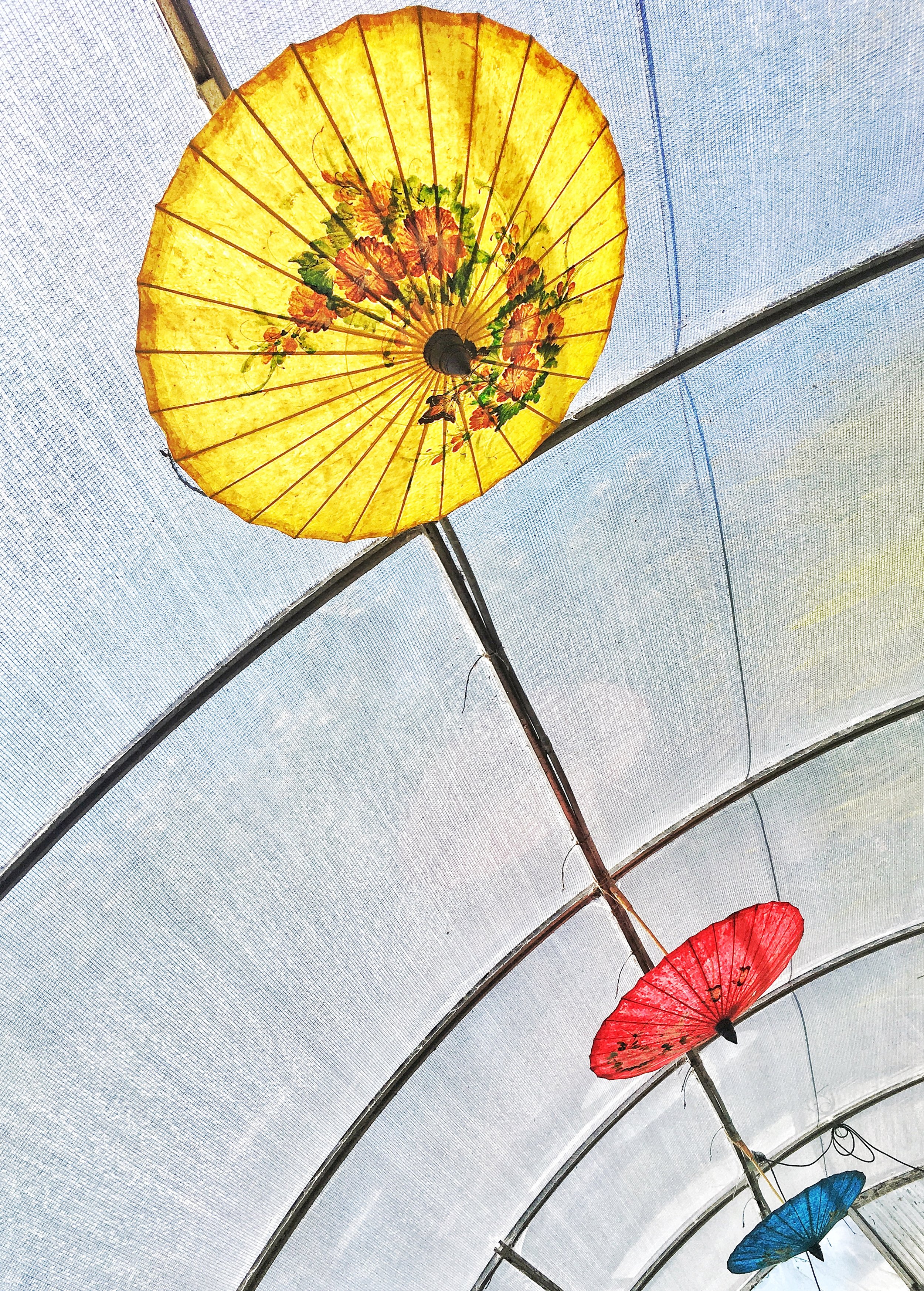 Primary color parasols
