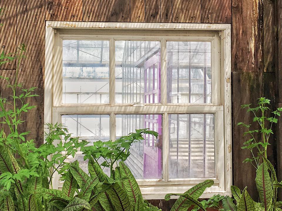 Window Into Industrial Agriculture