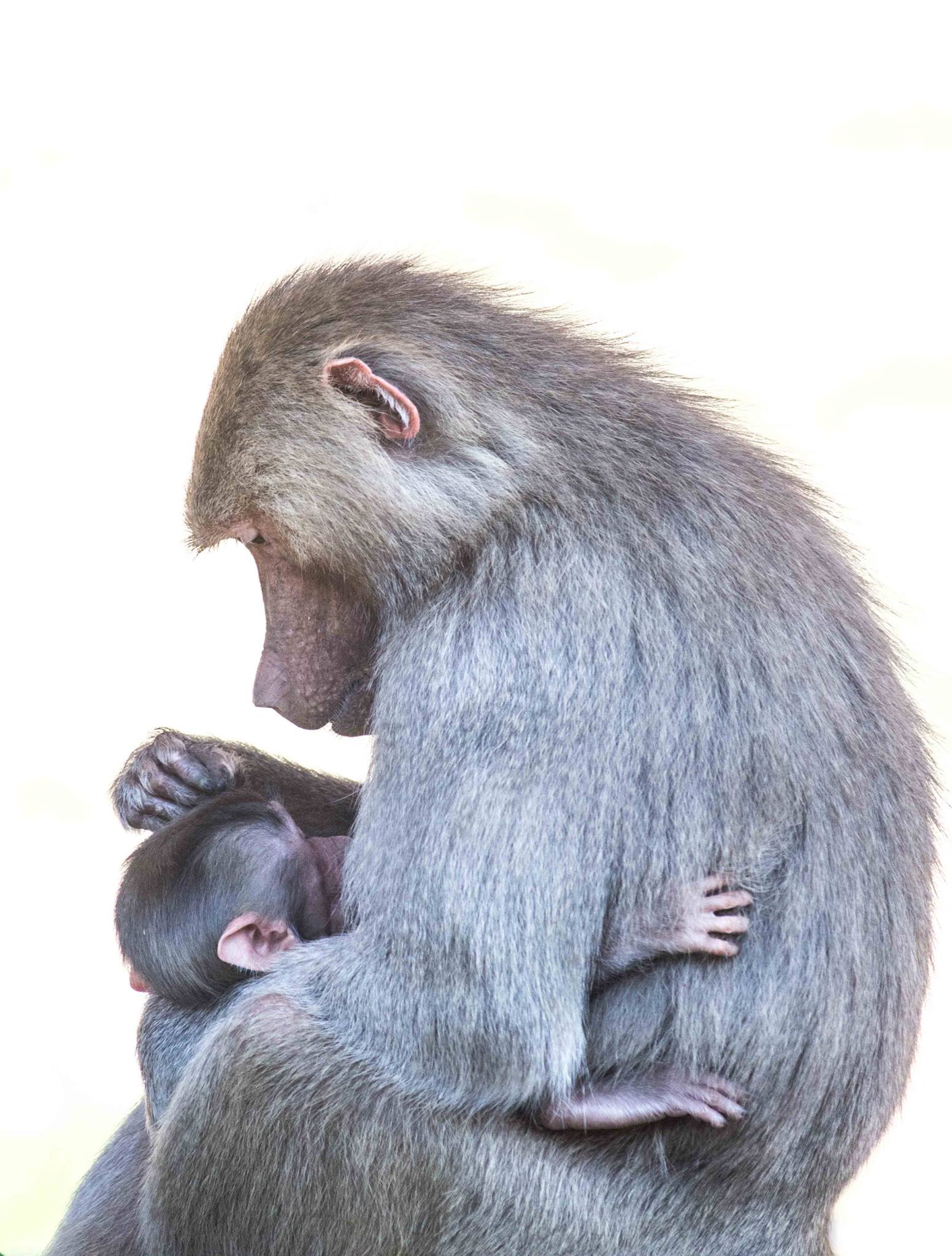 Madonna and Child