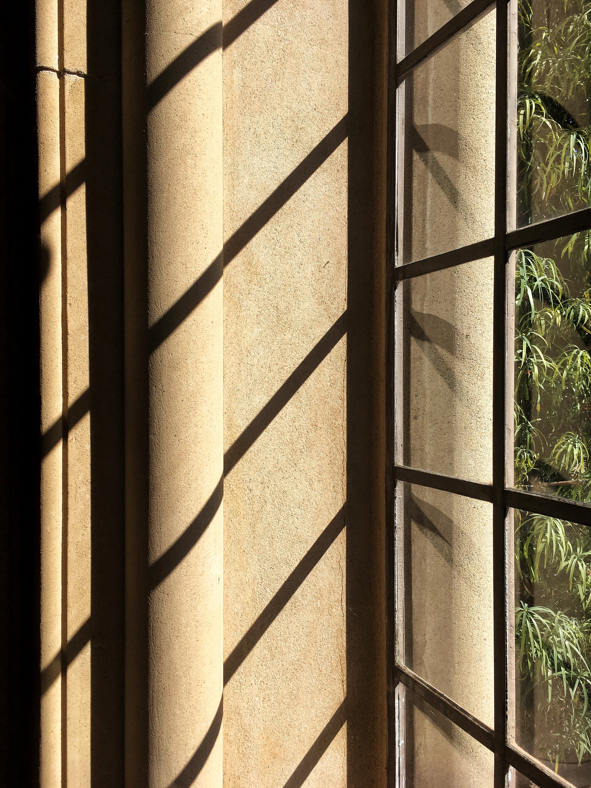 Julia Morgan Window