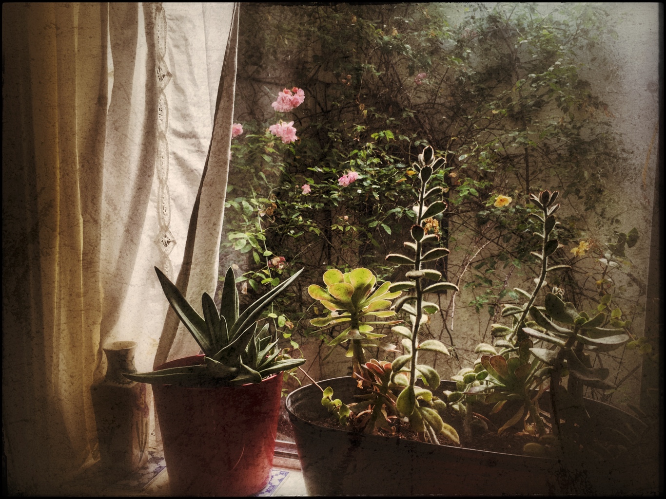 Window into Friendship