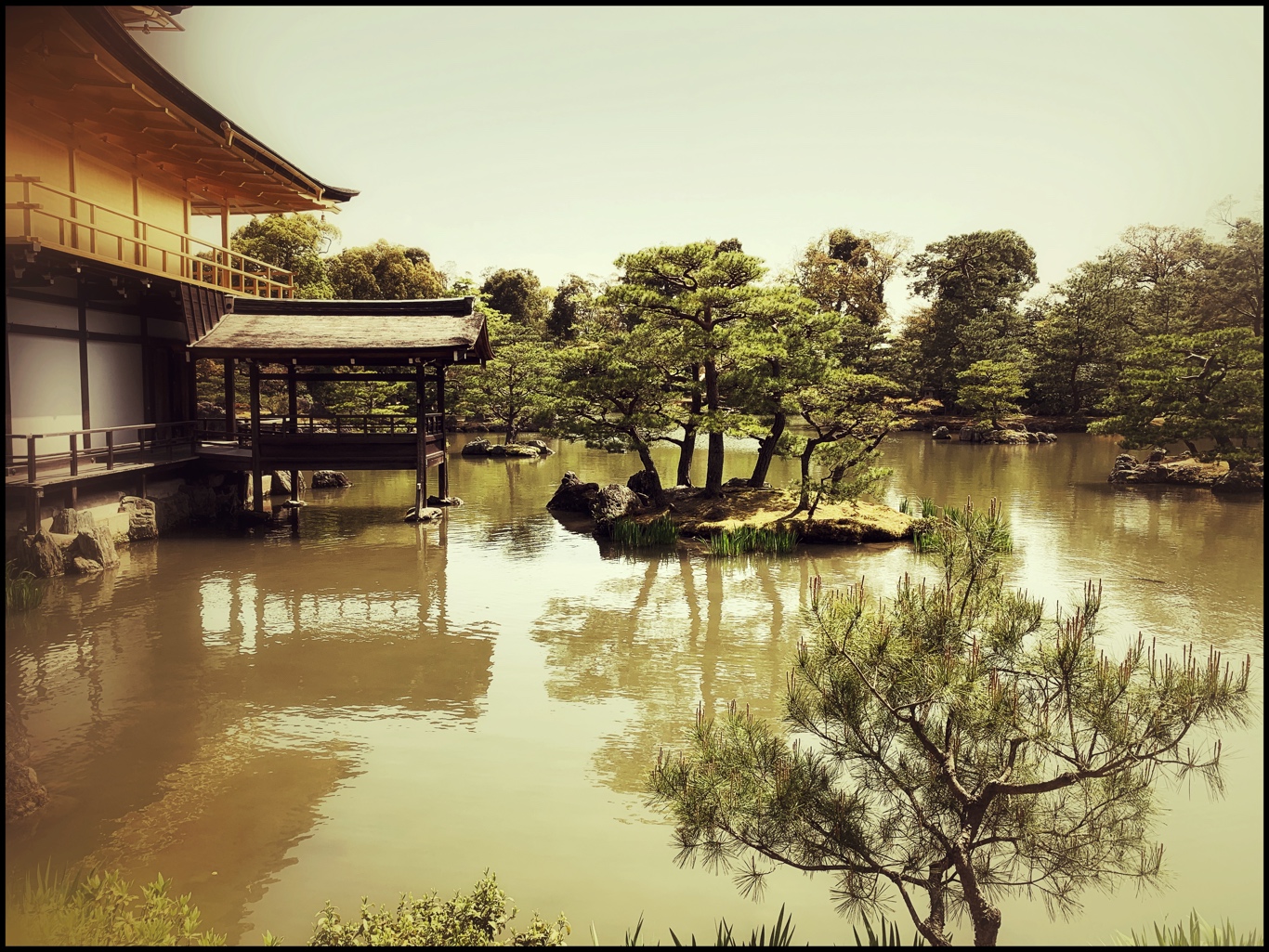 Golden Pavilion by Becky Jaffe.JPG