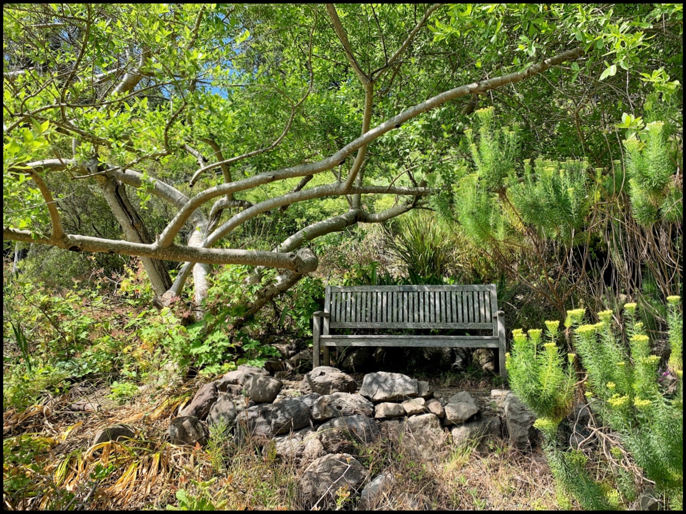 Sit a Spell by Becky Jaffe.jpg