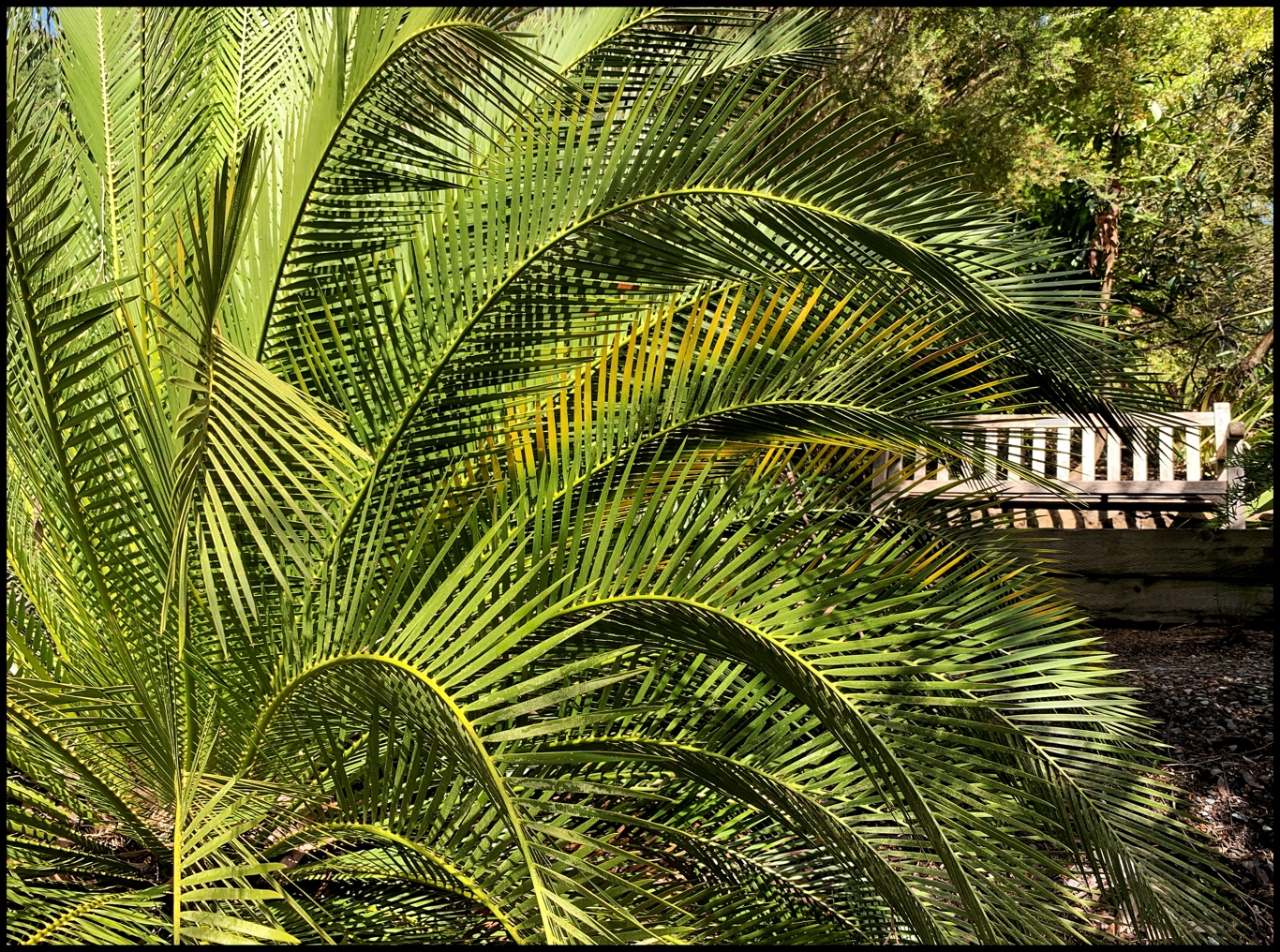 Respite by Becky Jaffe.jpg
