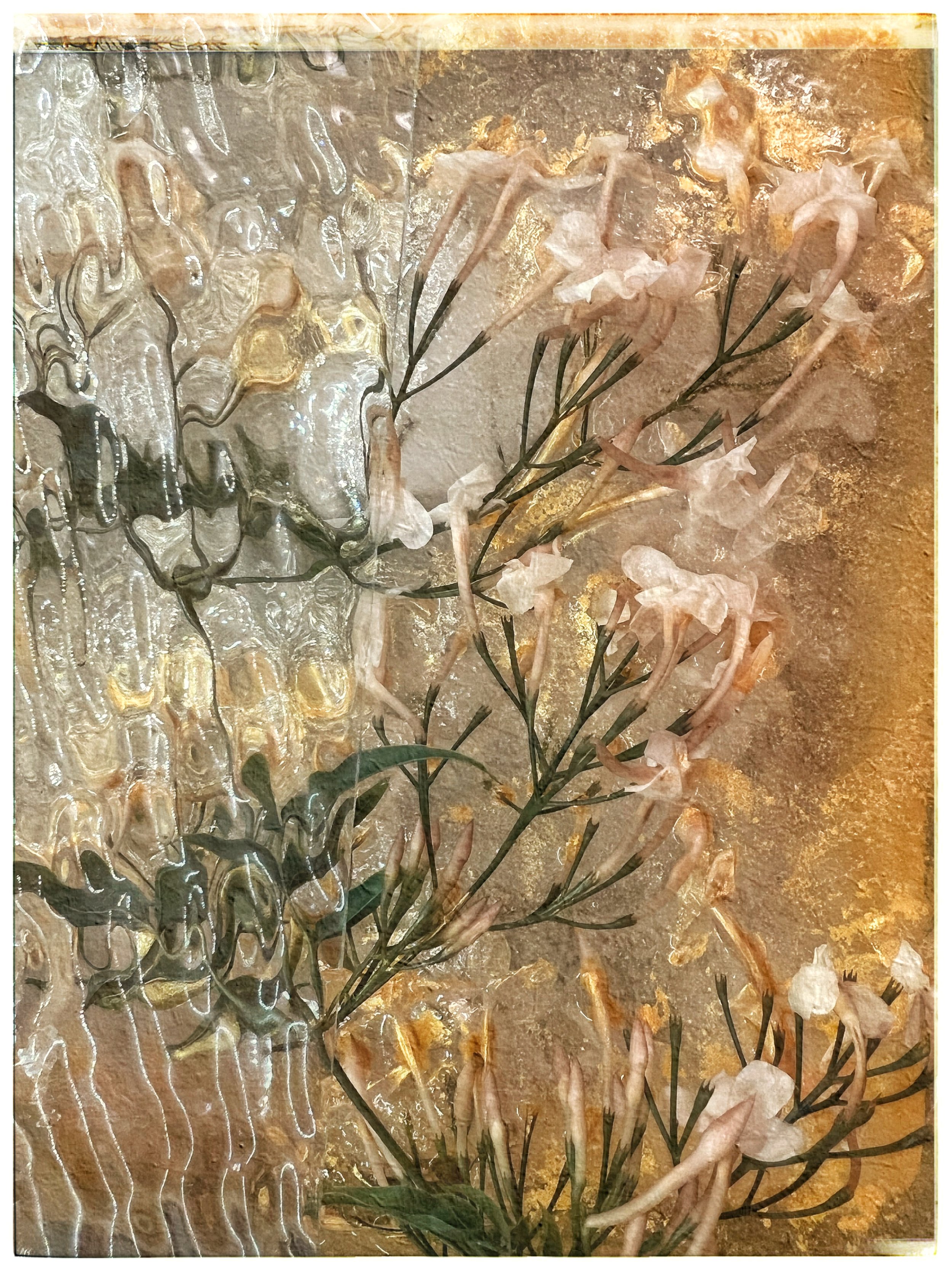  iced jasmine, gold leaf, textured glass, wonder. 
