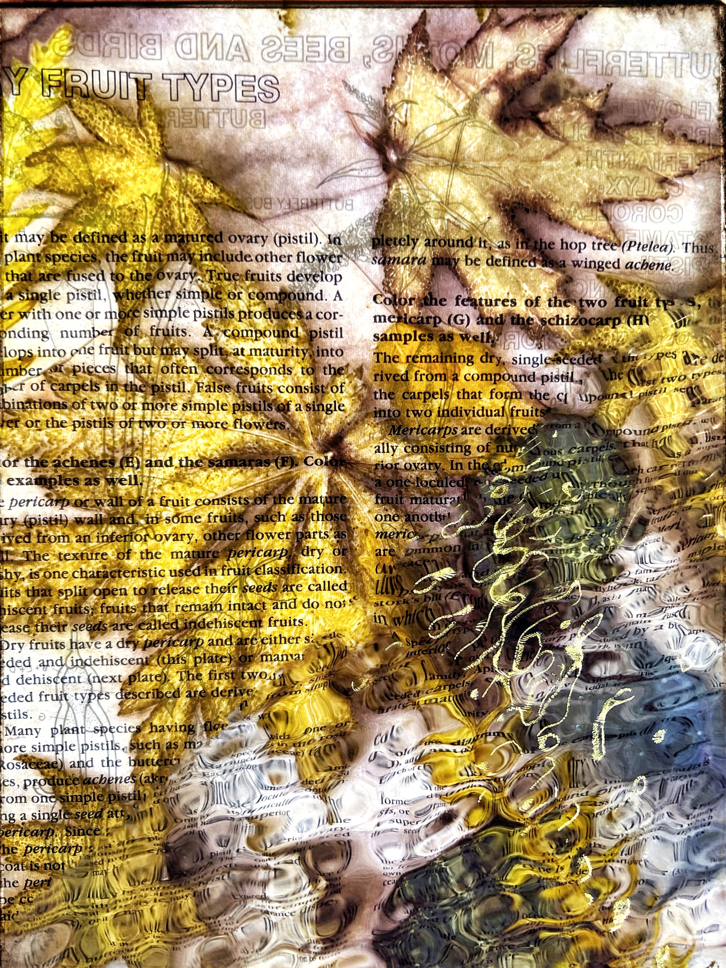  I pressed maple leaves into iron-infused botany textbook pages and bound them in linen around a dowel that I steamed in a turkey pot with onion skin for a couple of hours and then I photographed the pigment print on a light table through textured gl