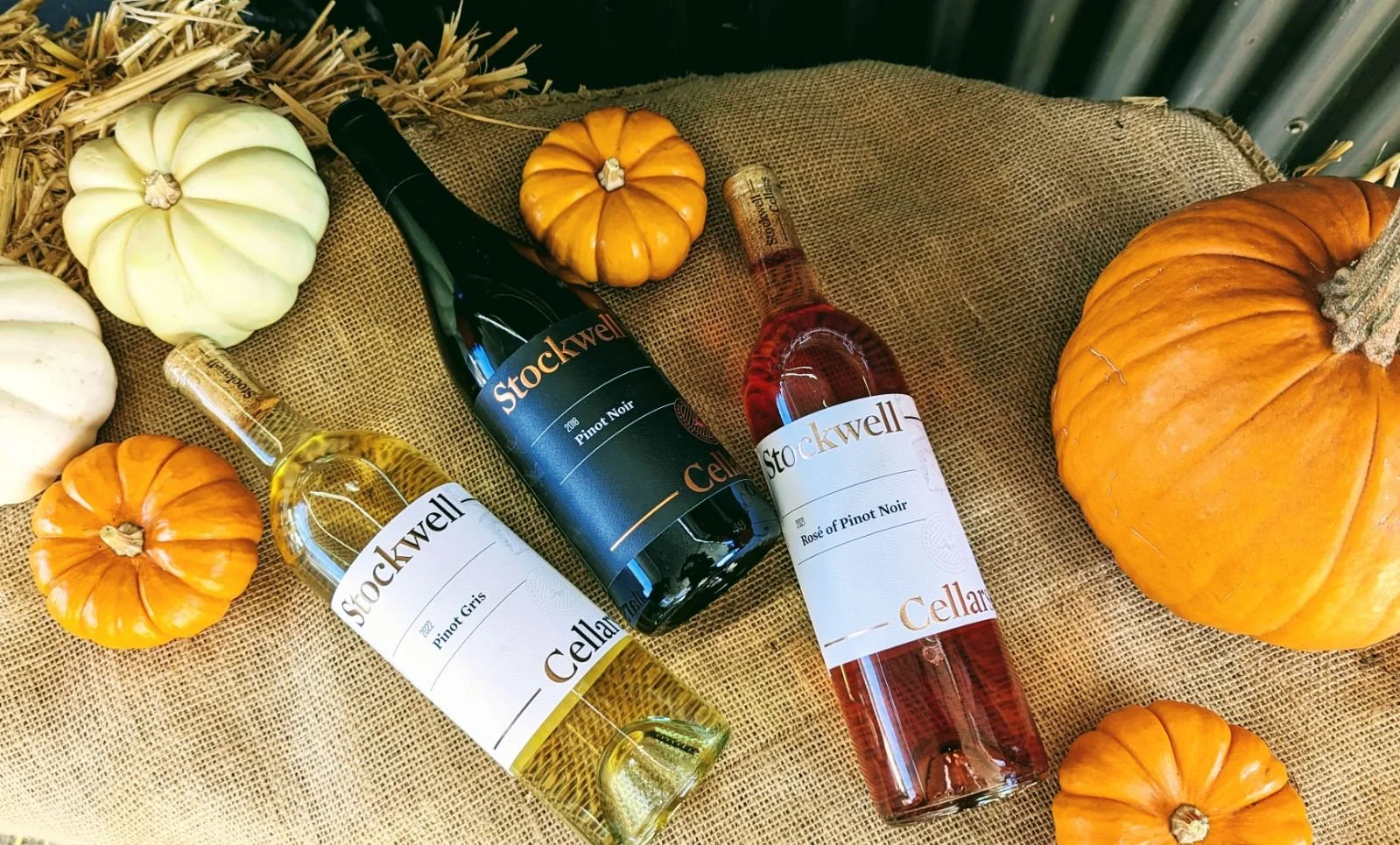 FALL WINE CLUB WINES