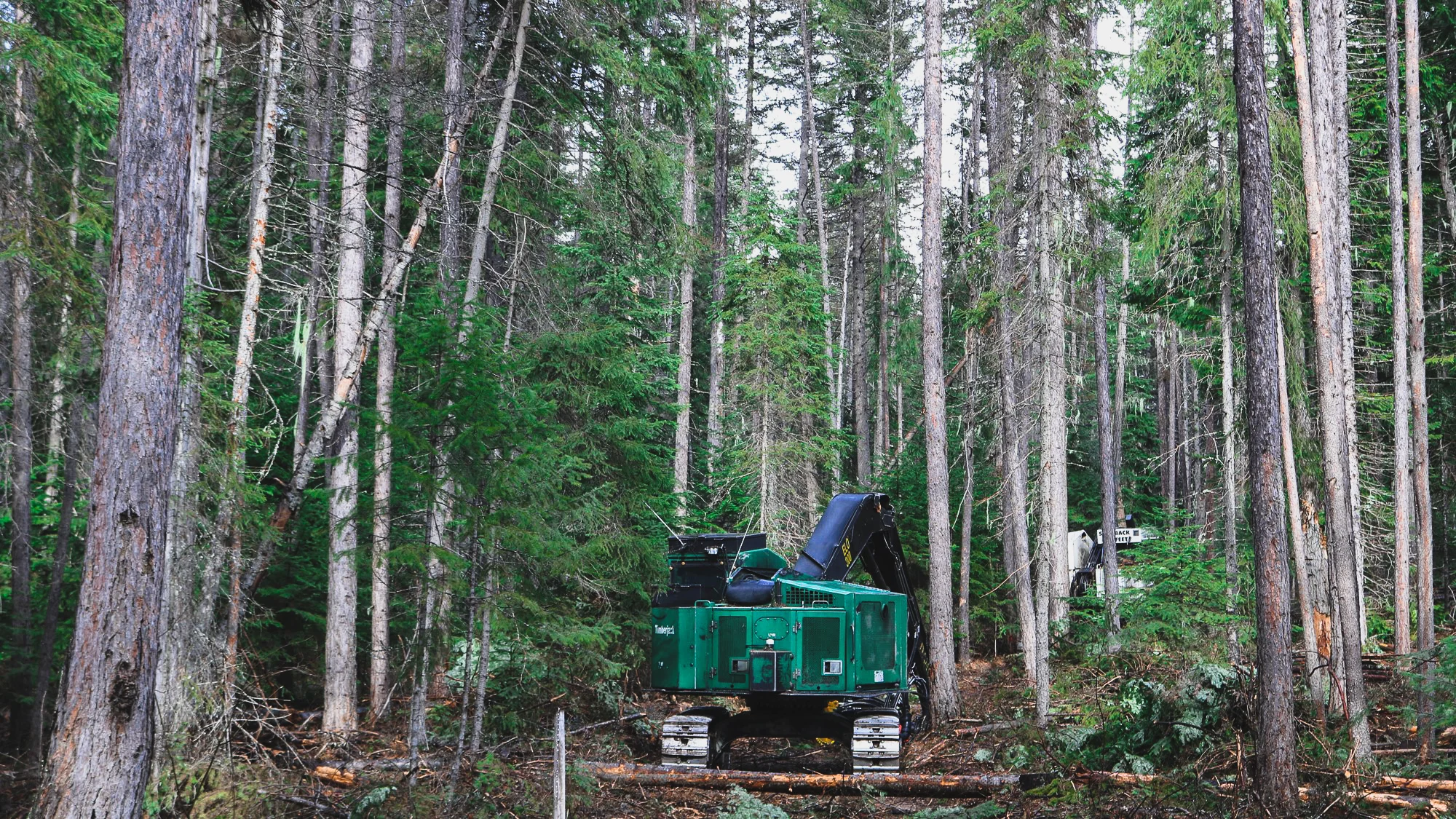 Game Range thinning equipment.jpg