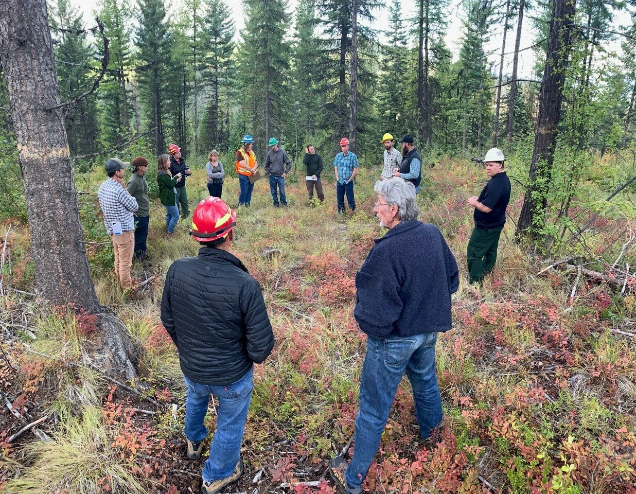 Northeast Washington Forest Coalition Hires a Facilitator