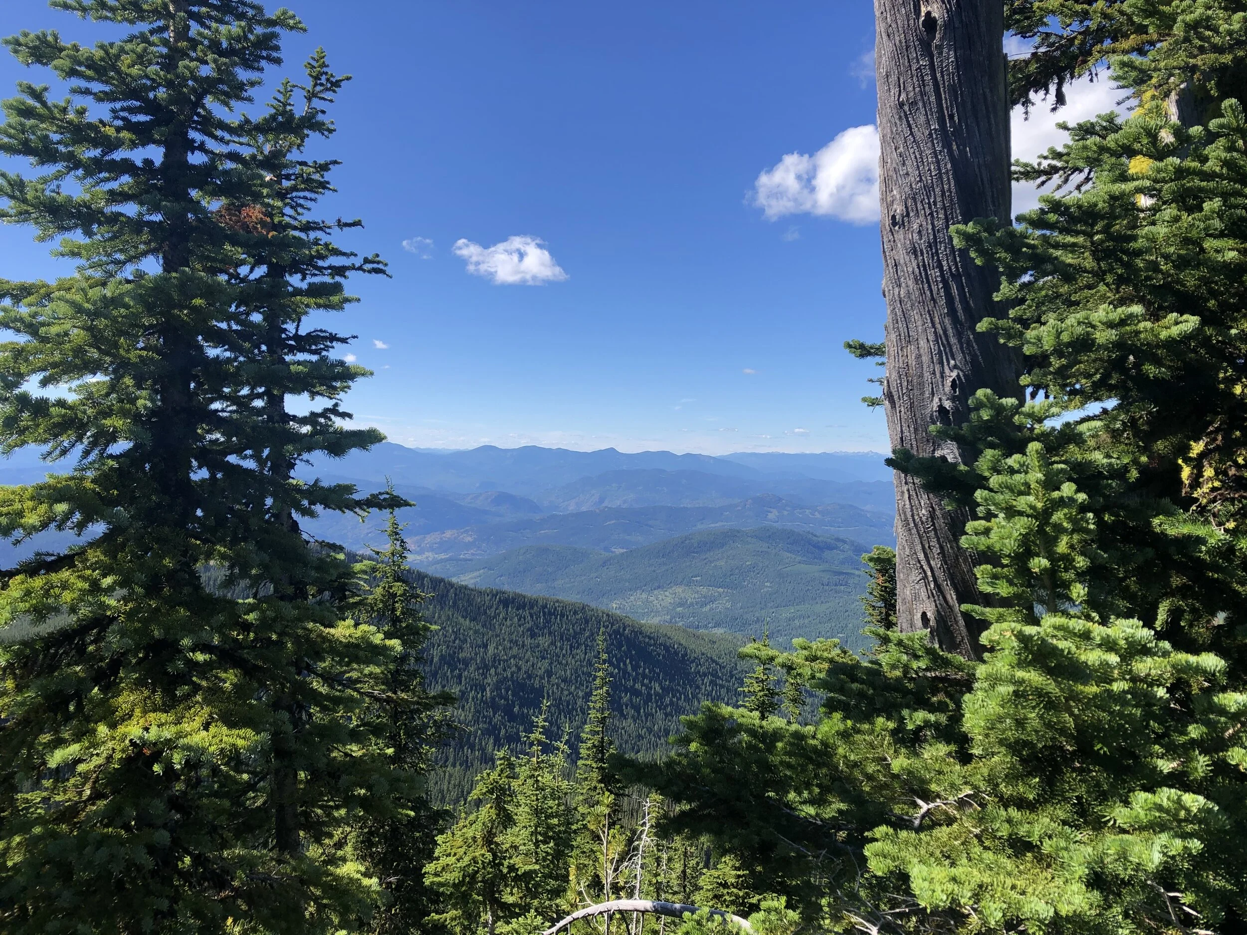 Virtual Pub night #3: Wildlands + Recreation