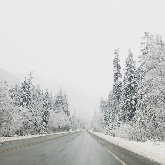 So. Much. Snow. If you have any *sick days* from school or work coming up soon, we have weekday availabilities at the cabin (we promise we won’t tell). Bonus - the lifts at Stevens are way less crowded during the week. 🤒🎿 ❄️