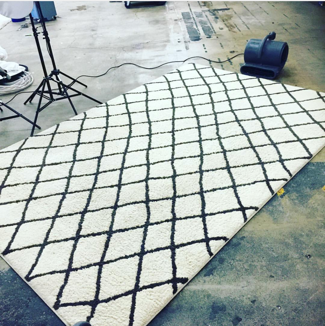 ARea rug picture .jpeg