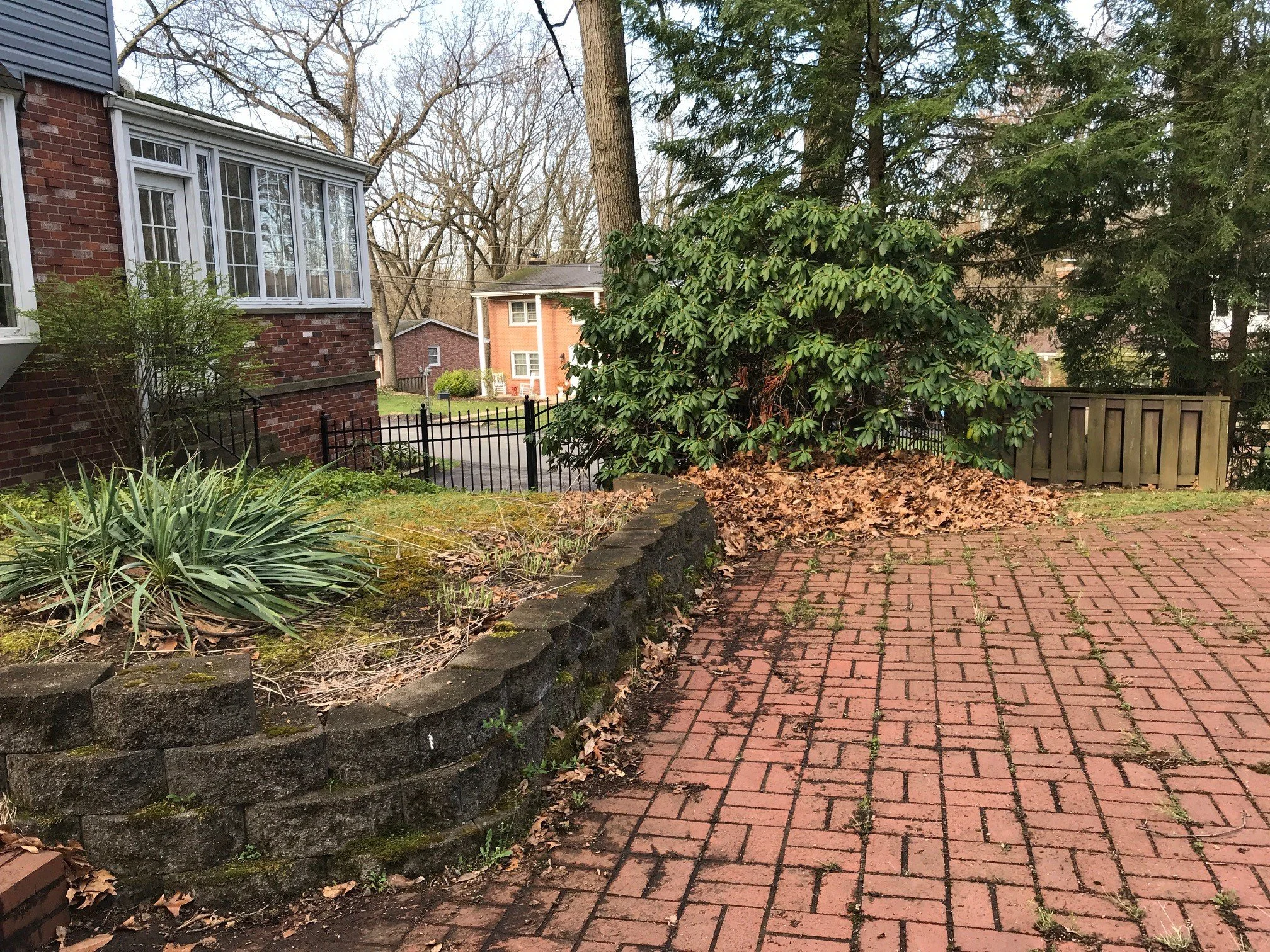 womac before back -1.jpg