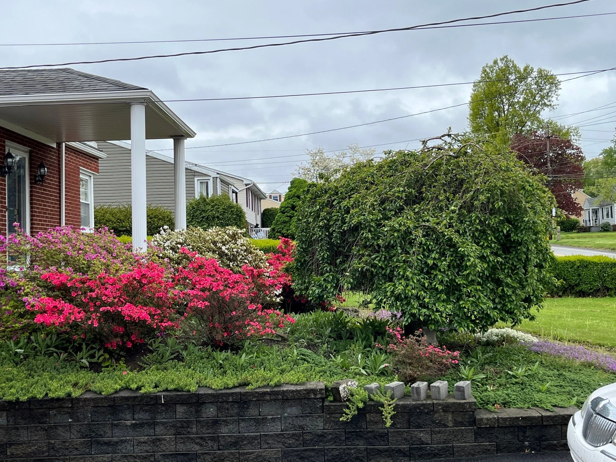 Davis b4 - driveway.jpg