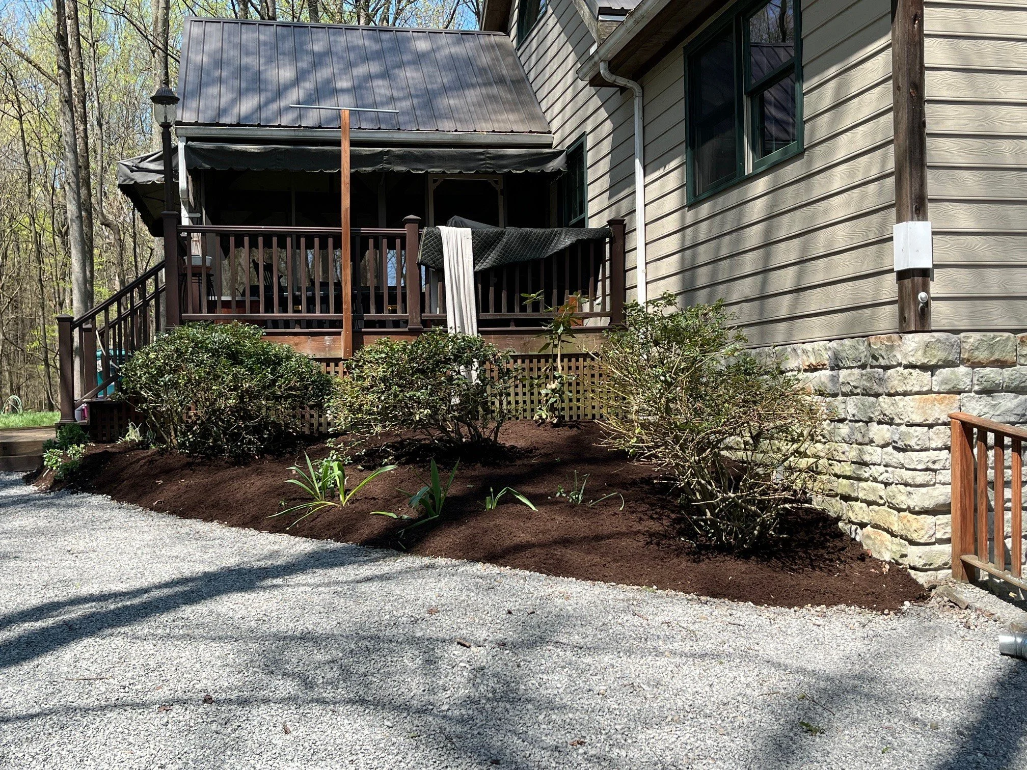 Fishell after-1 (2).jpg