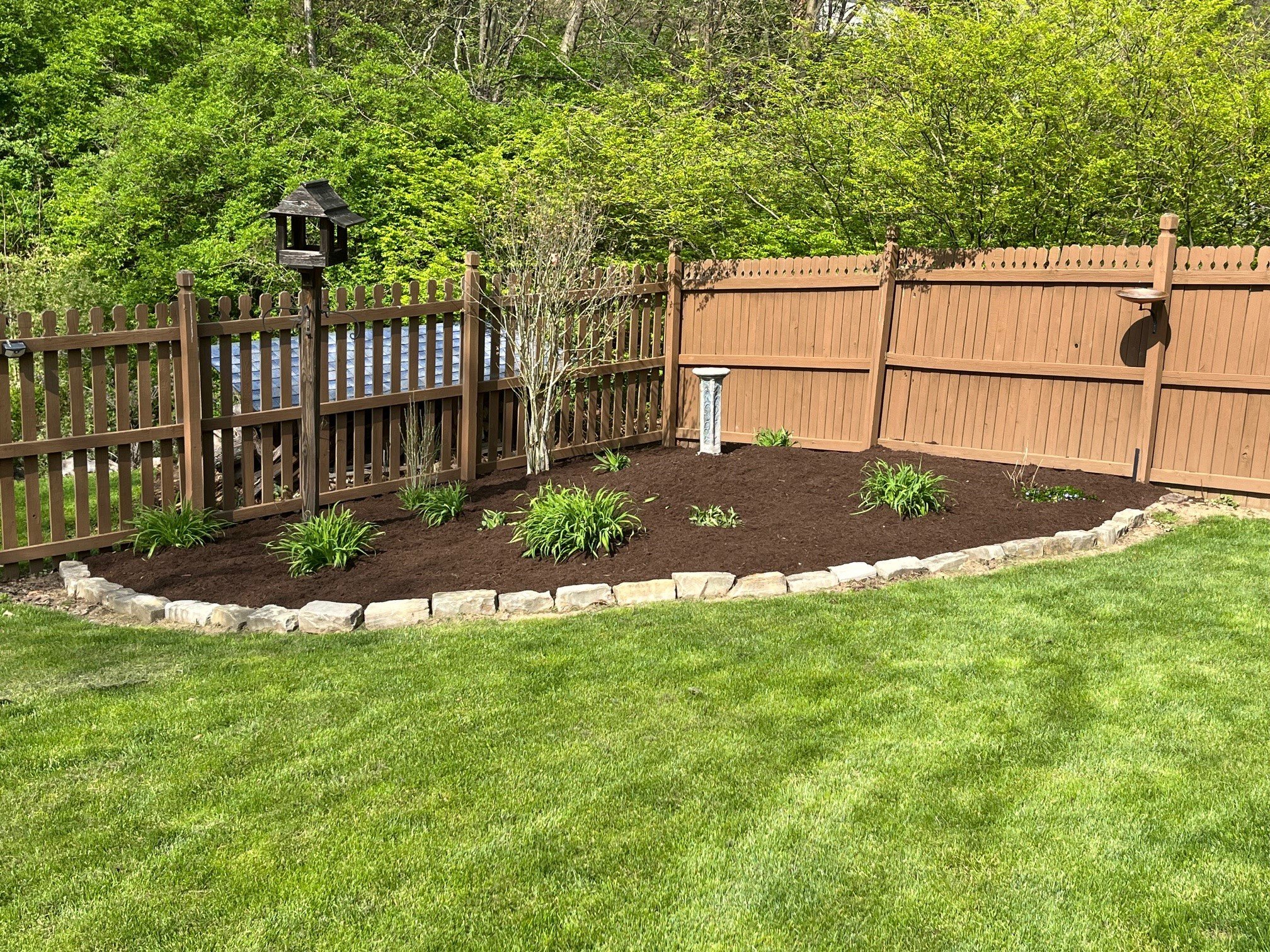 Marsh 05 after-3.jpg