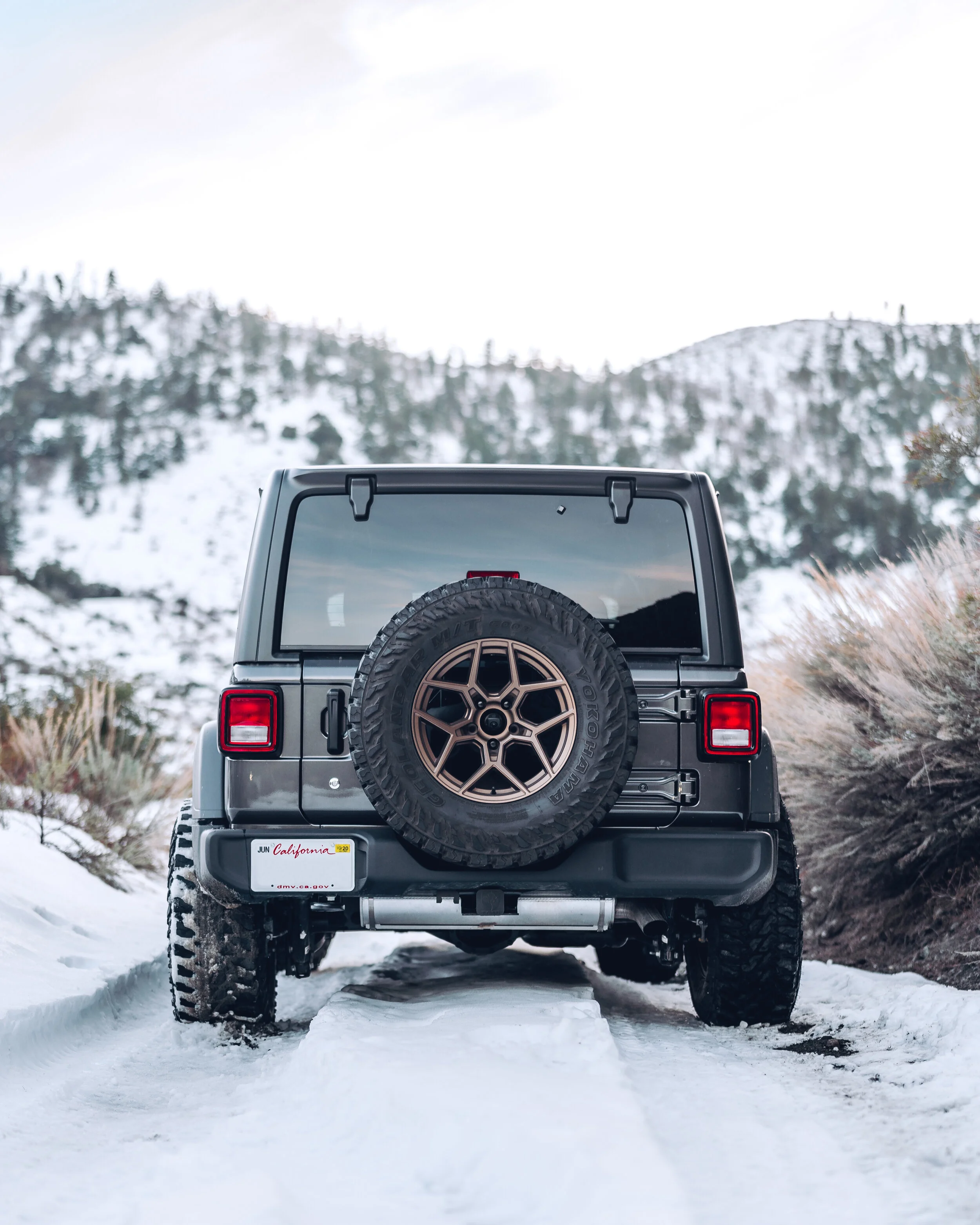 Jeep-10.jpg