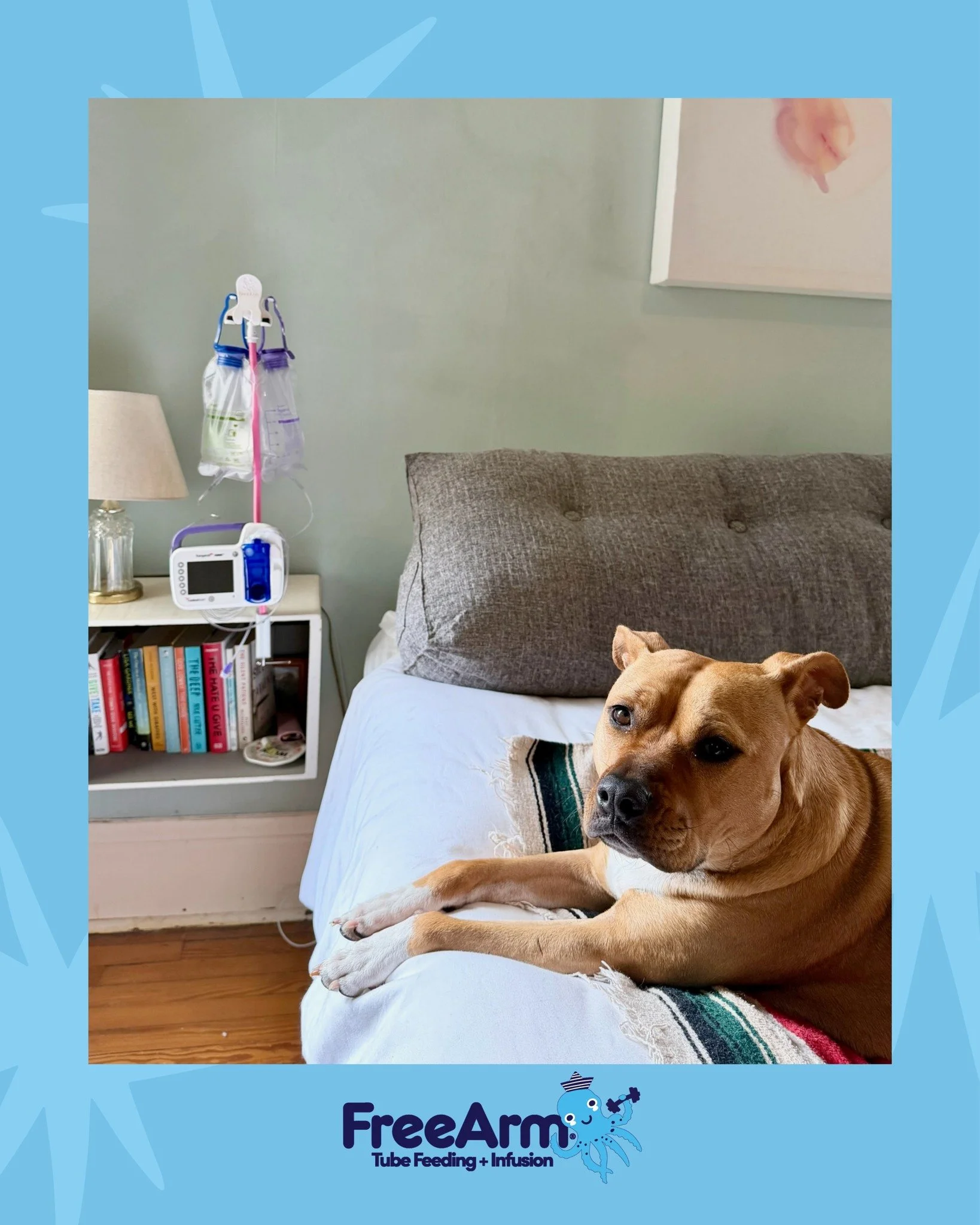 The best mealtime buddy!

#feedingpump #feedingtubelife #tubielife #tubefeeding #ngtube #freearm #pumpfed  #wheelchairlife #njtube #feedingtube #specialneedsjourney #feedingtubeawareness #freearmfan #tubie #tubefed #gtube #medicallycomplex #feedingtu