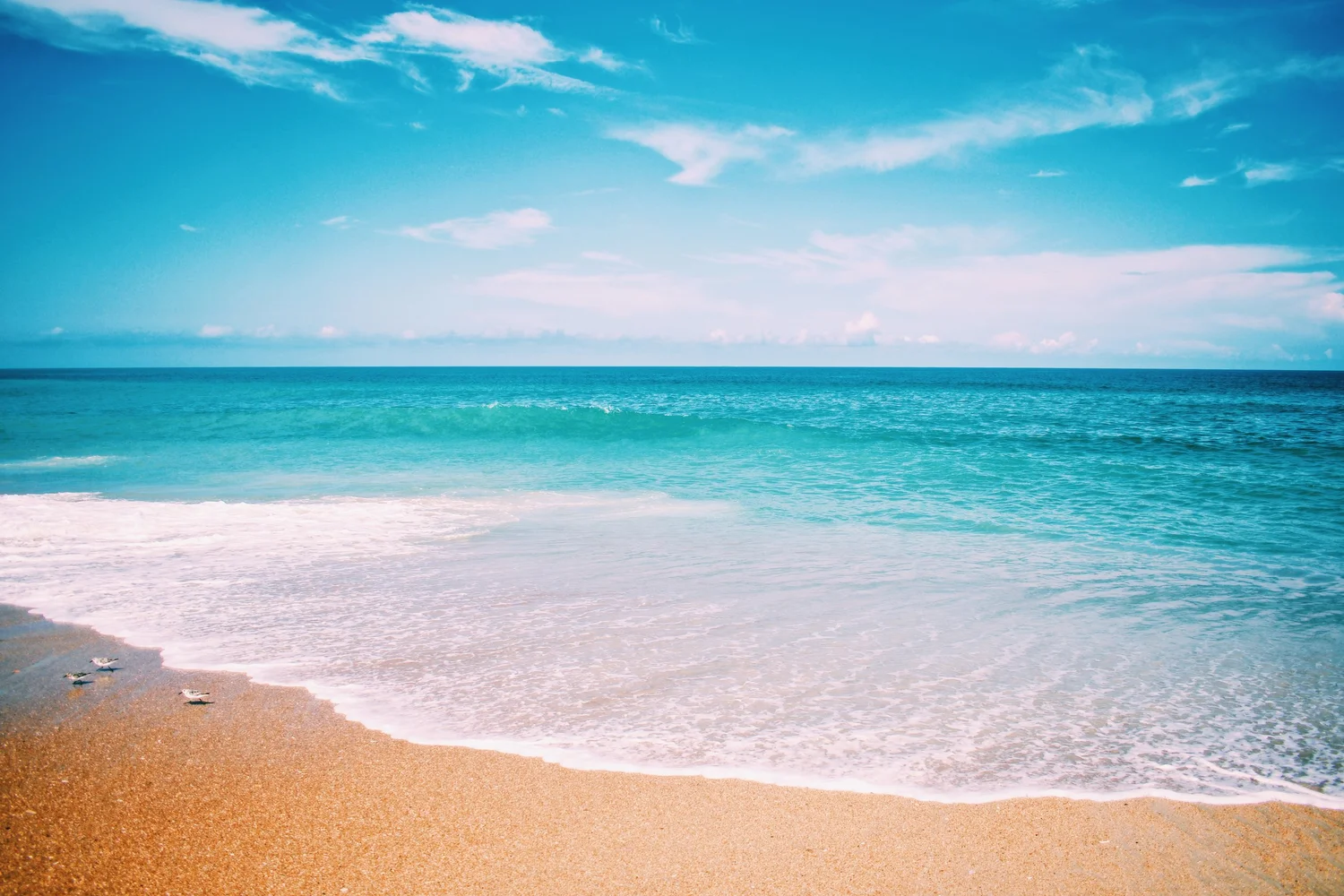 Turquoise water meeting a soft sandy shore