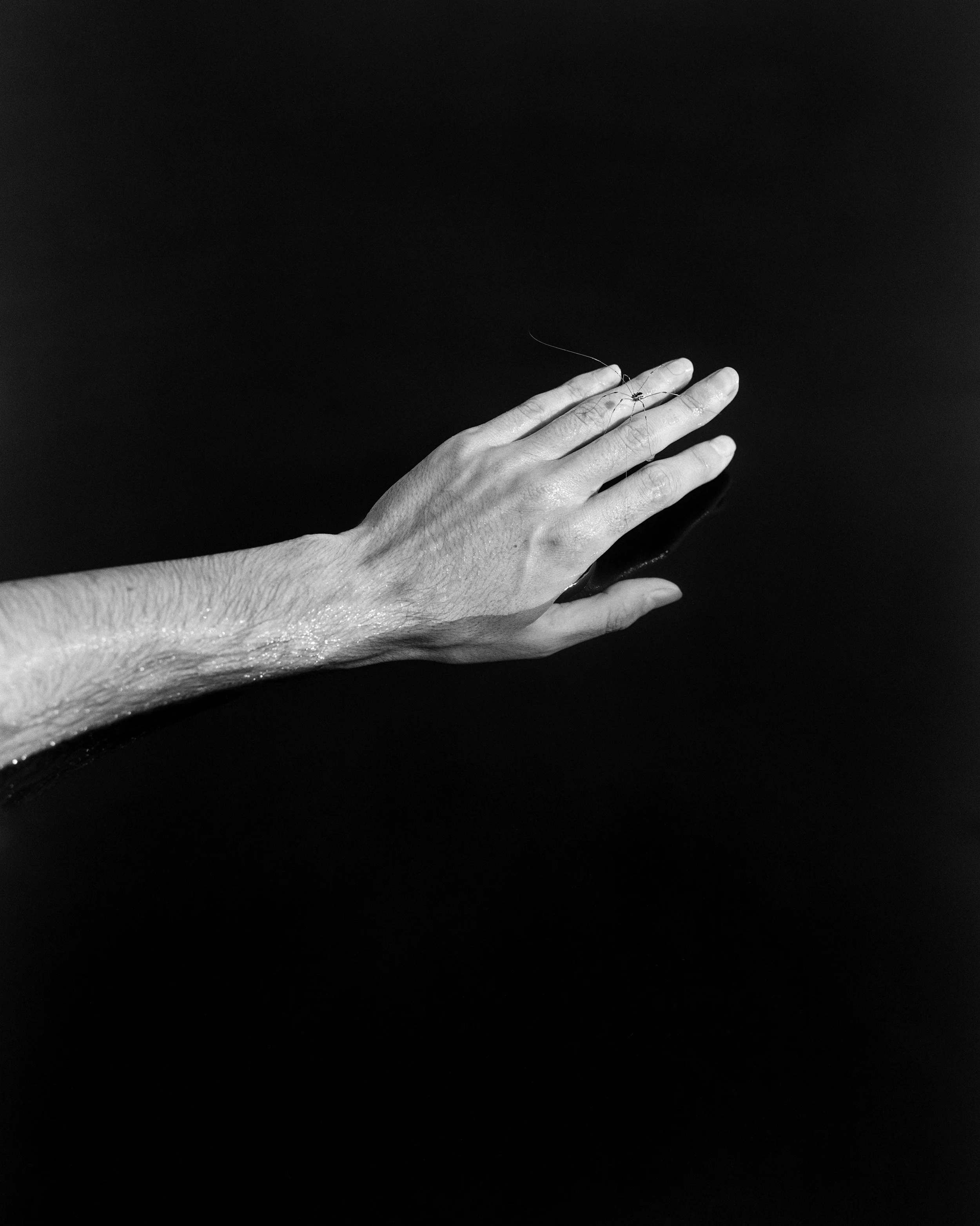 McCarter_Owen_17.jpg