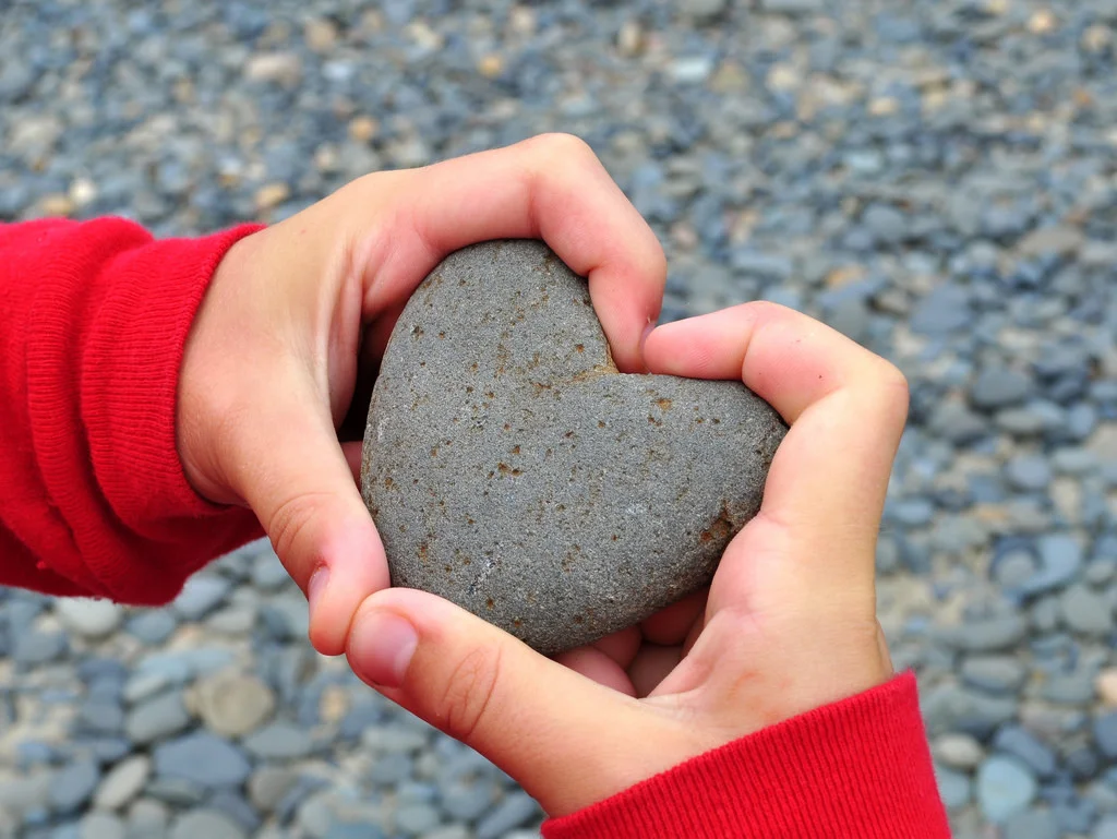 heart.jpg