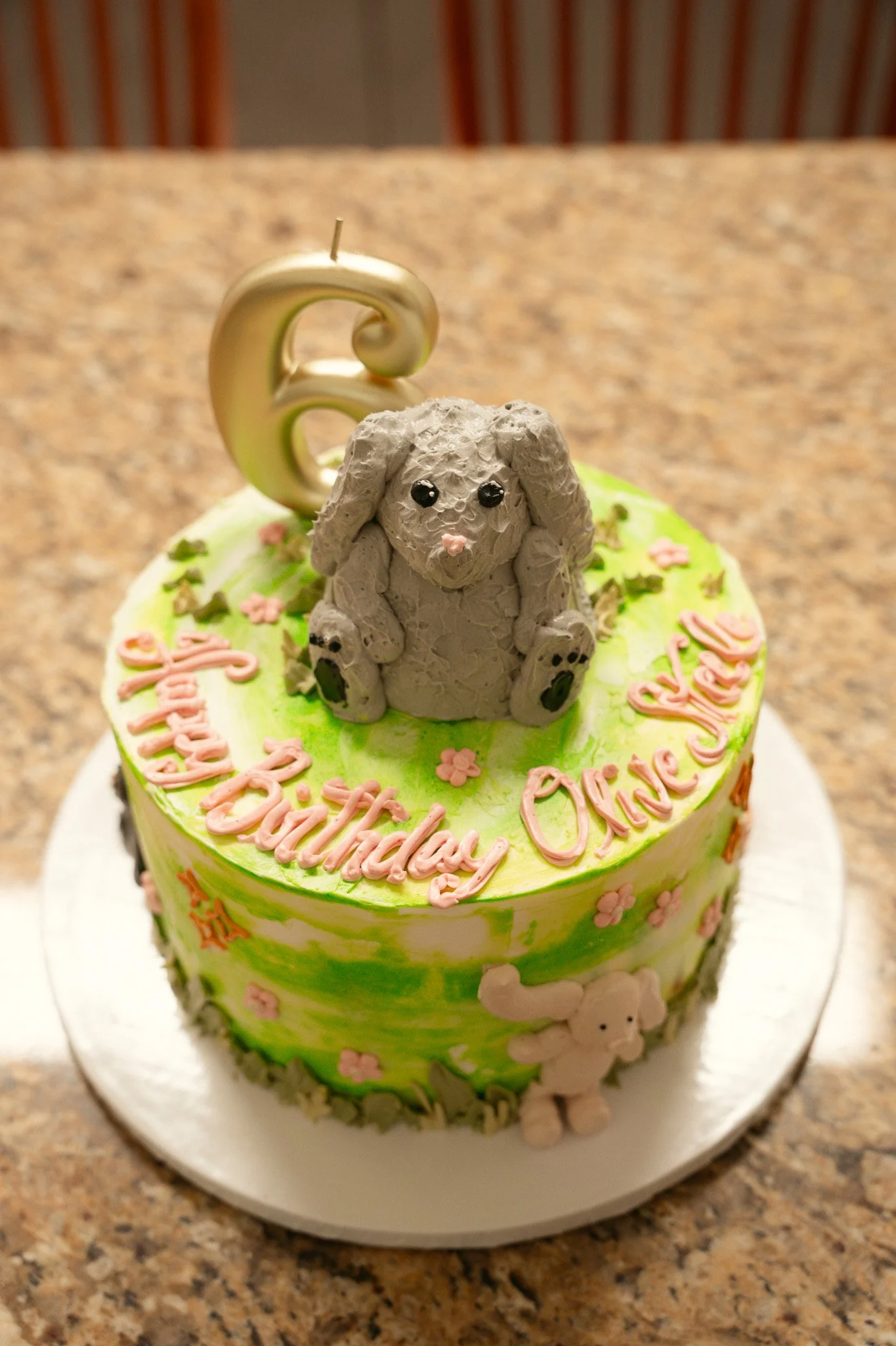 Olive's 6th Birthday-34.jpg